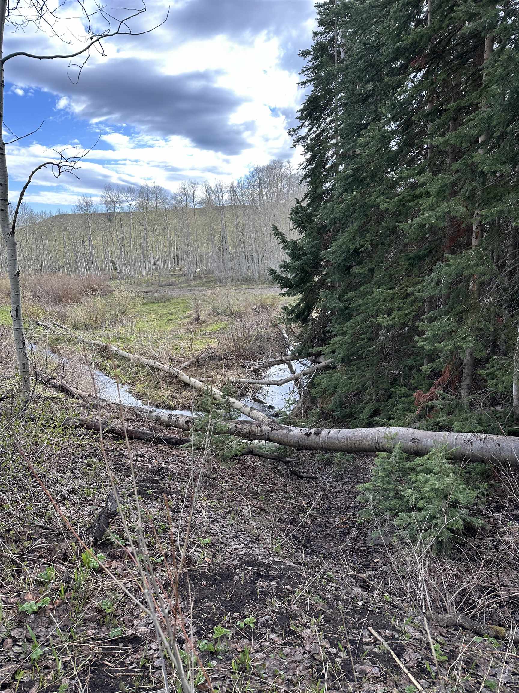 3170 San Juan Vista Road Property Photo 14