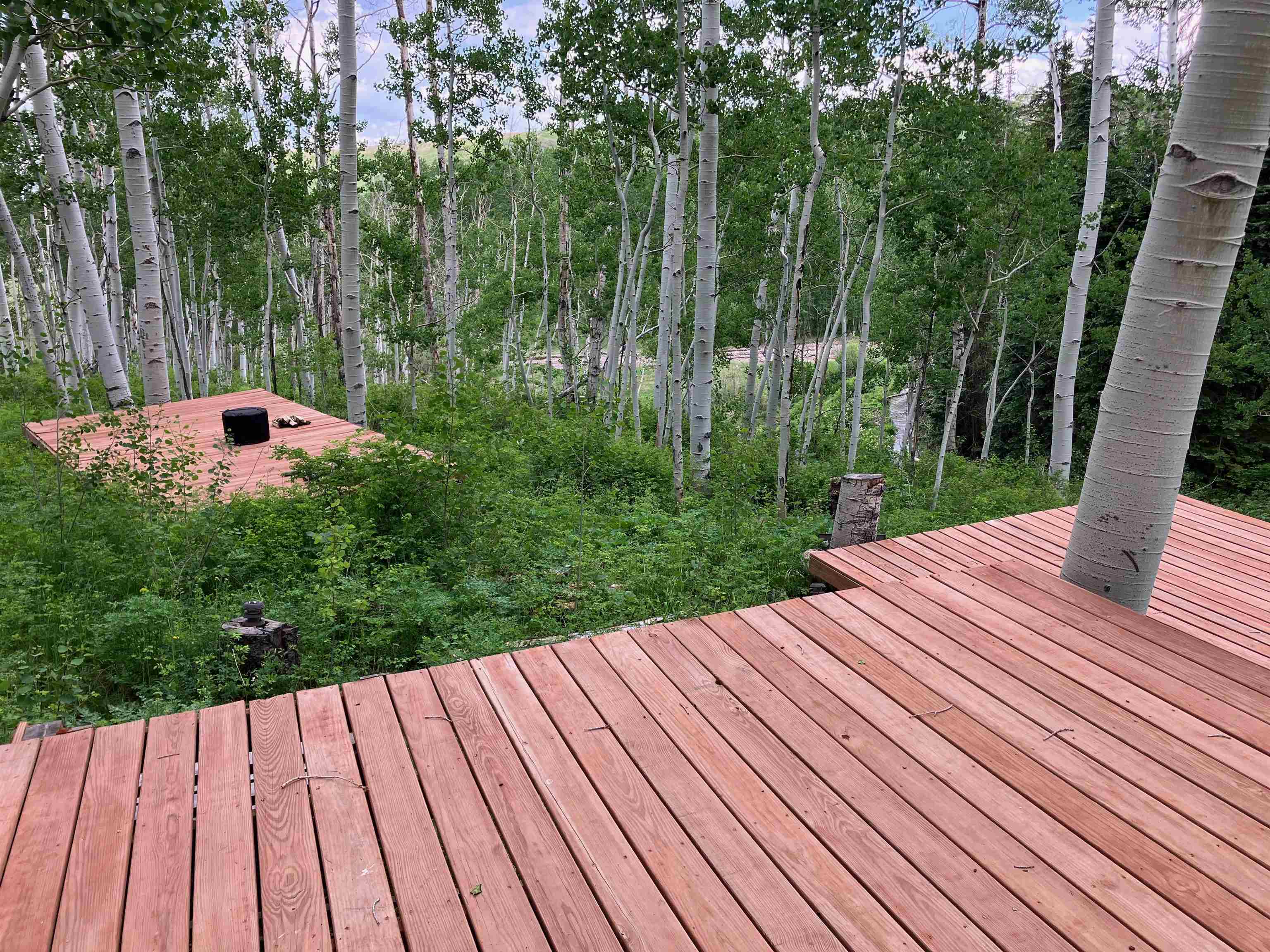 3170 San Juan Vista Road Property Photo 25