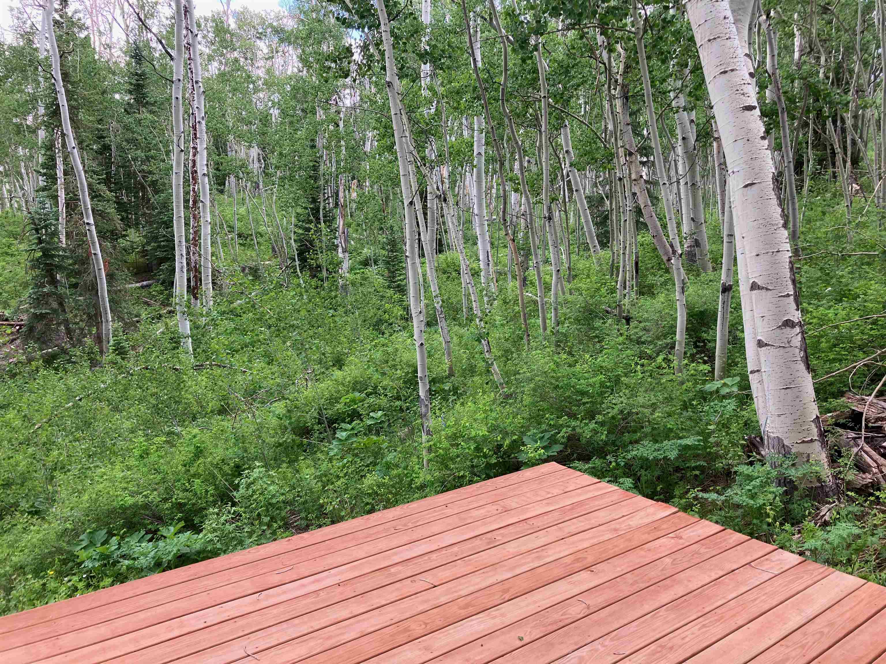 3170 San Juan Vista Road Property Photo 27