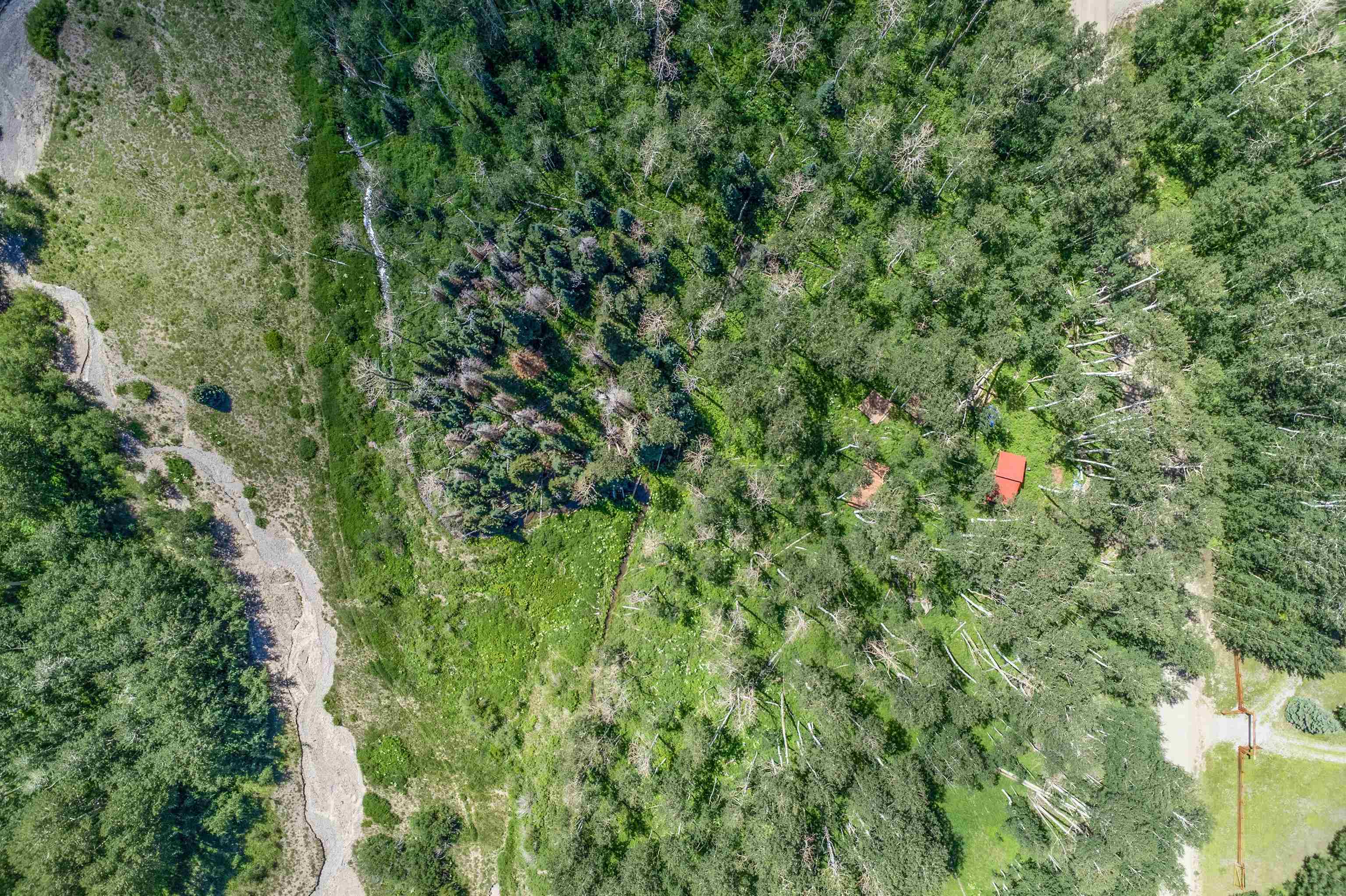 3170 San Juan Vista Road Property Photo 40
