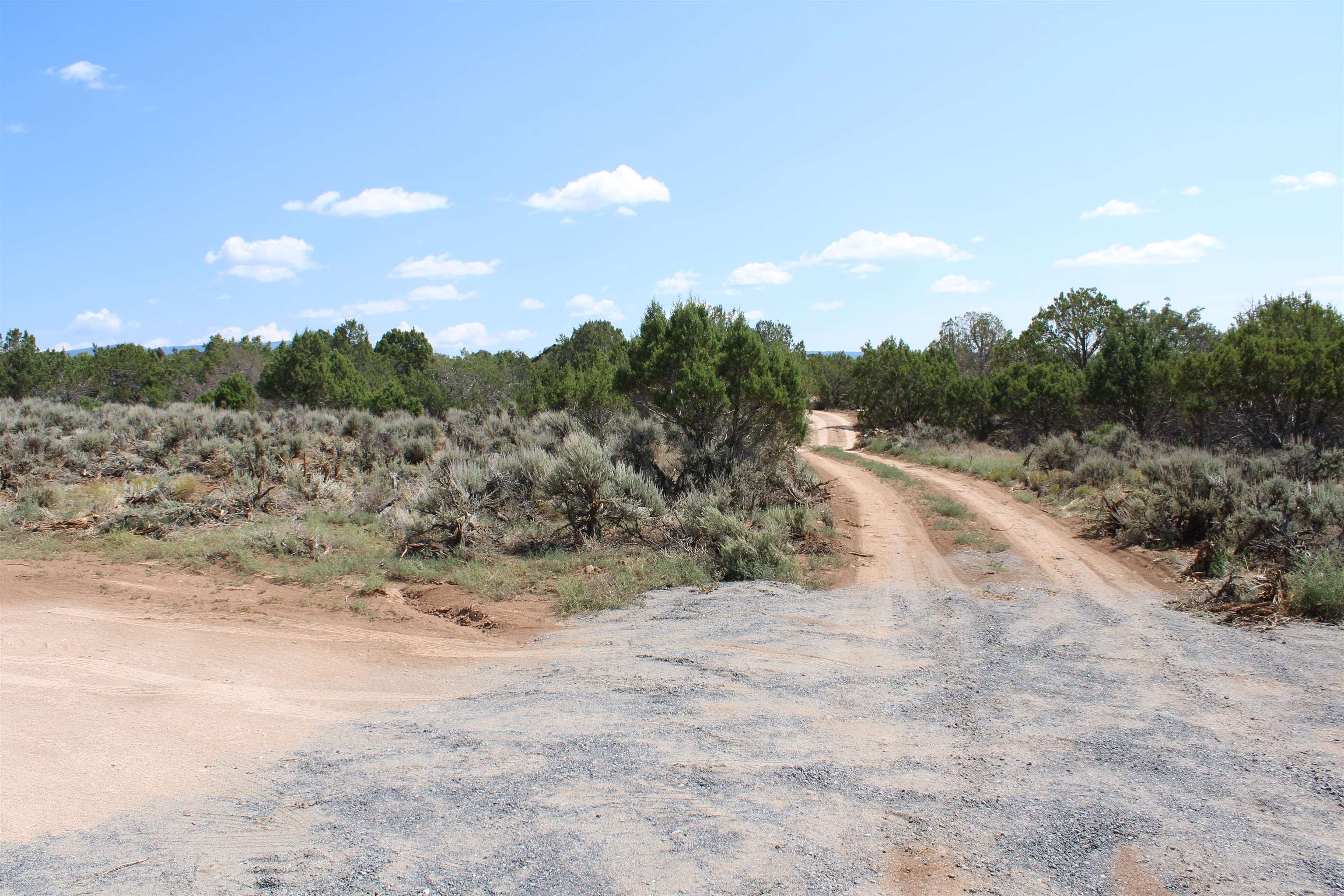 25059 Cedar Mesa Road Property Photo 27