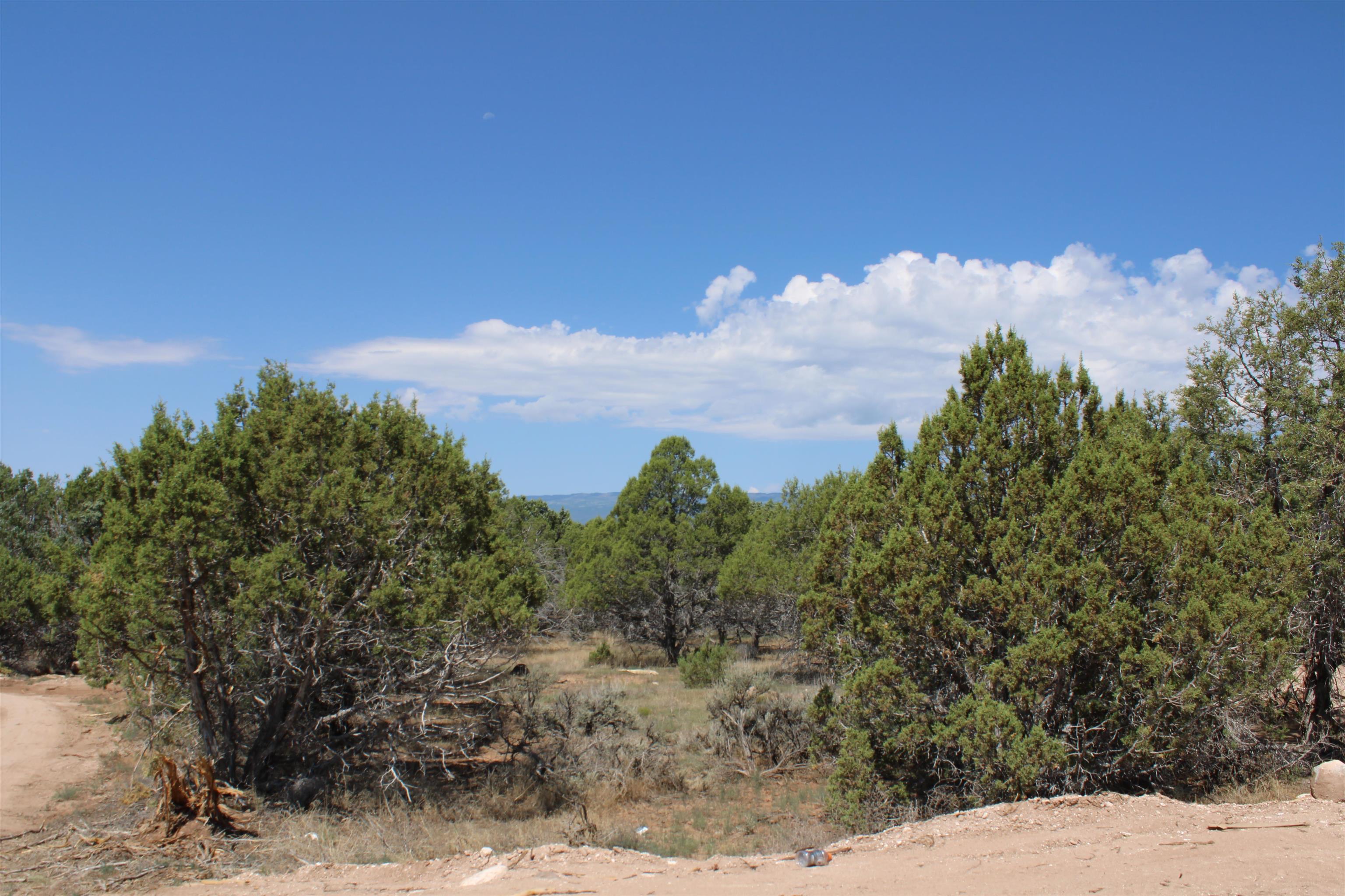 25059 Cedar Mesa Road Property Photo 28