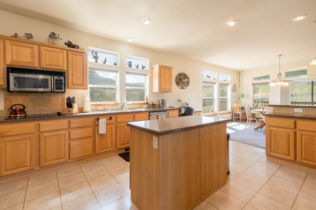 14250 S Ouray Court Property Photo 4