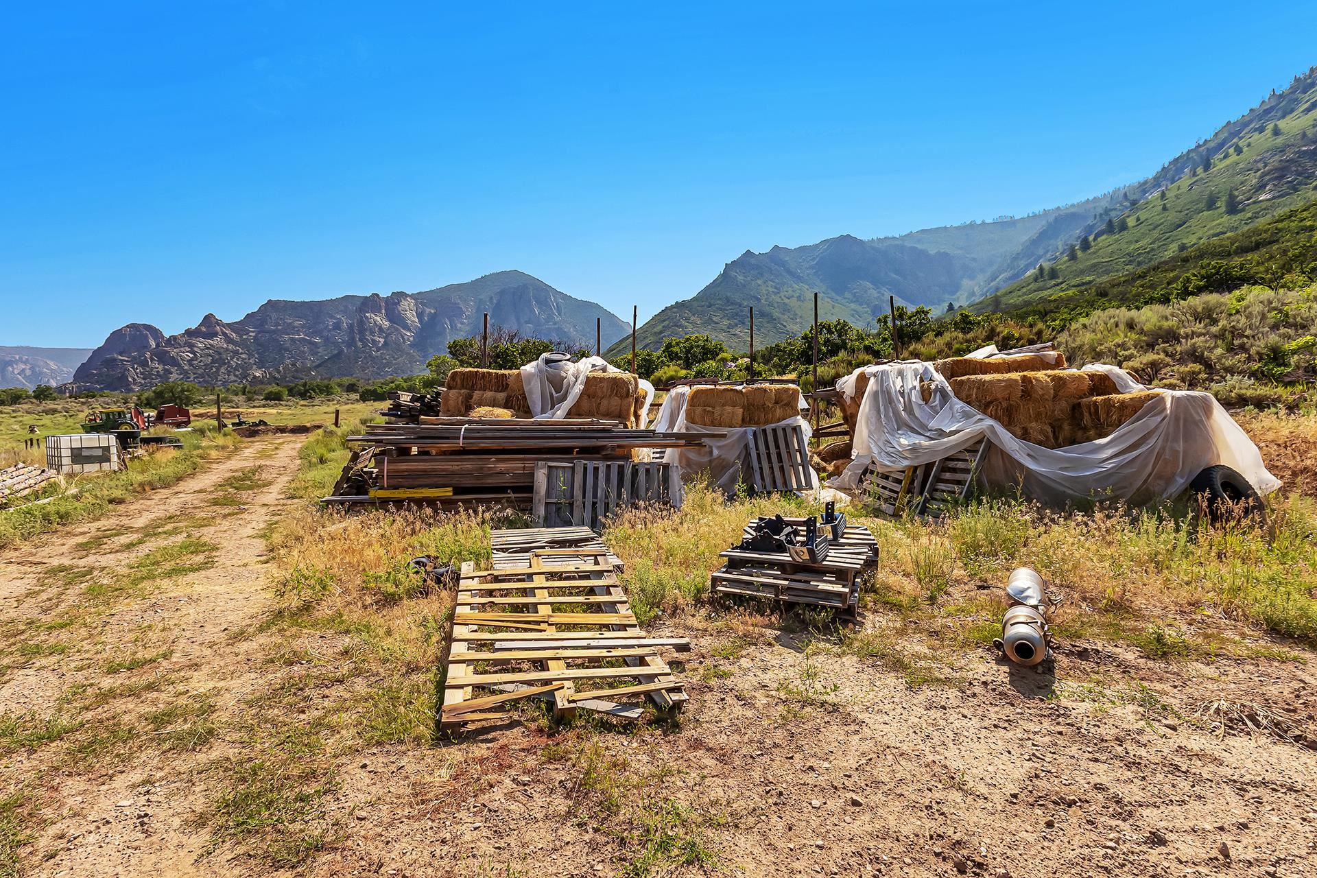 26101 & 246 Highway 141 Property Photo 6