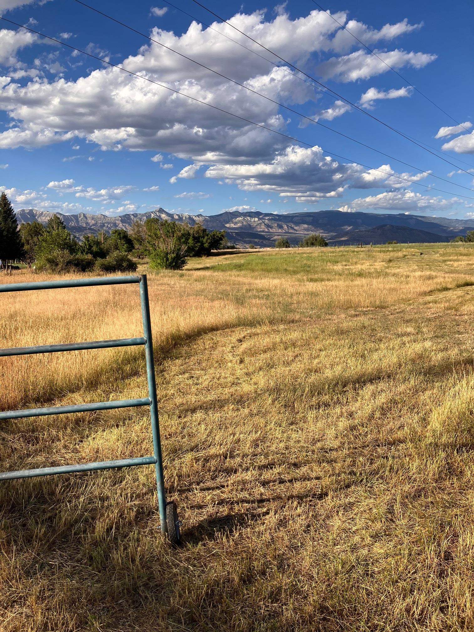 9440 48 2/10 Road Property Photo 7