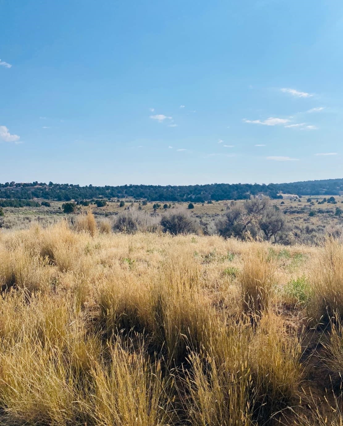 17210 Ds Road Property Photo 1