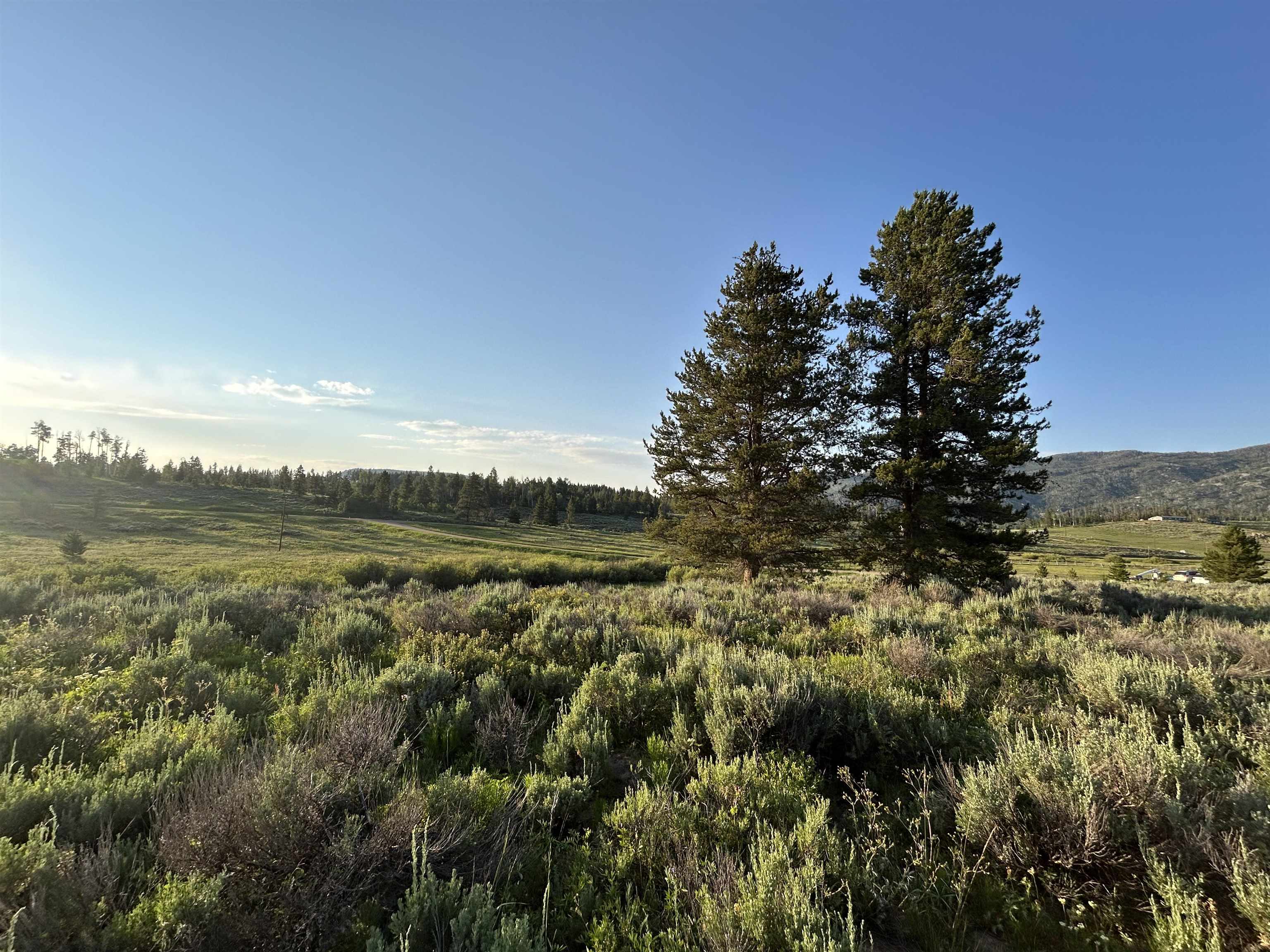 20965 Hoch-eye Way Property Photo 3
