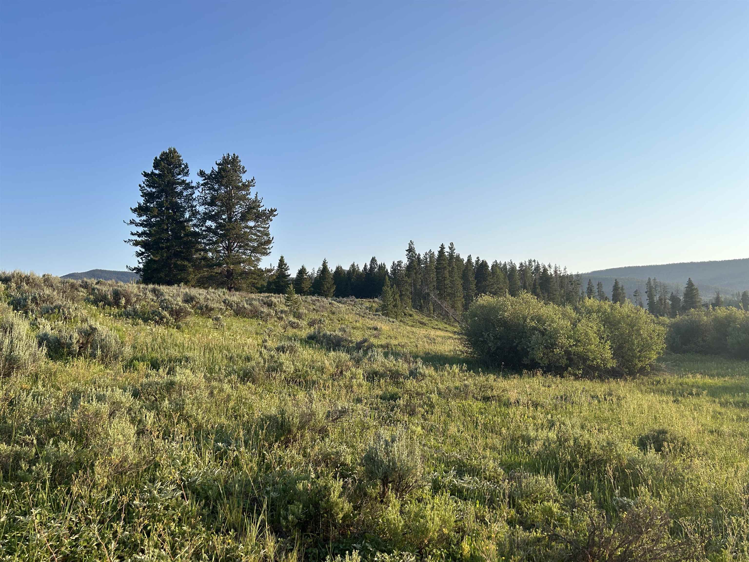 20965 Hoch-eye Way Property Photo 13