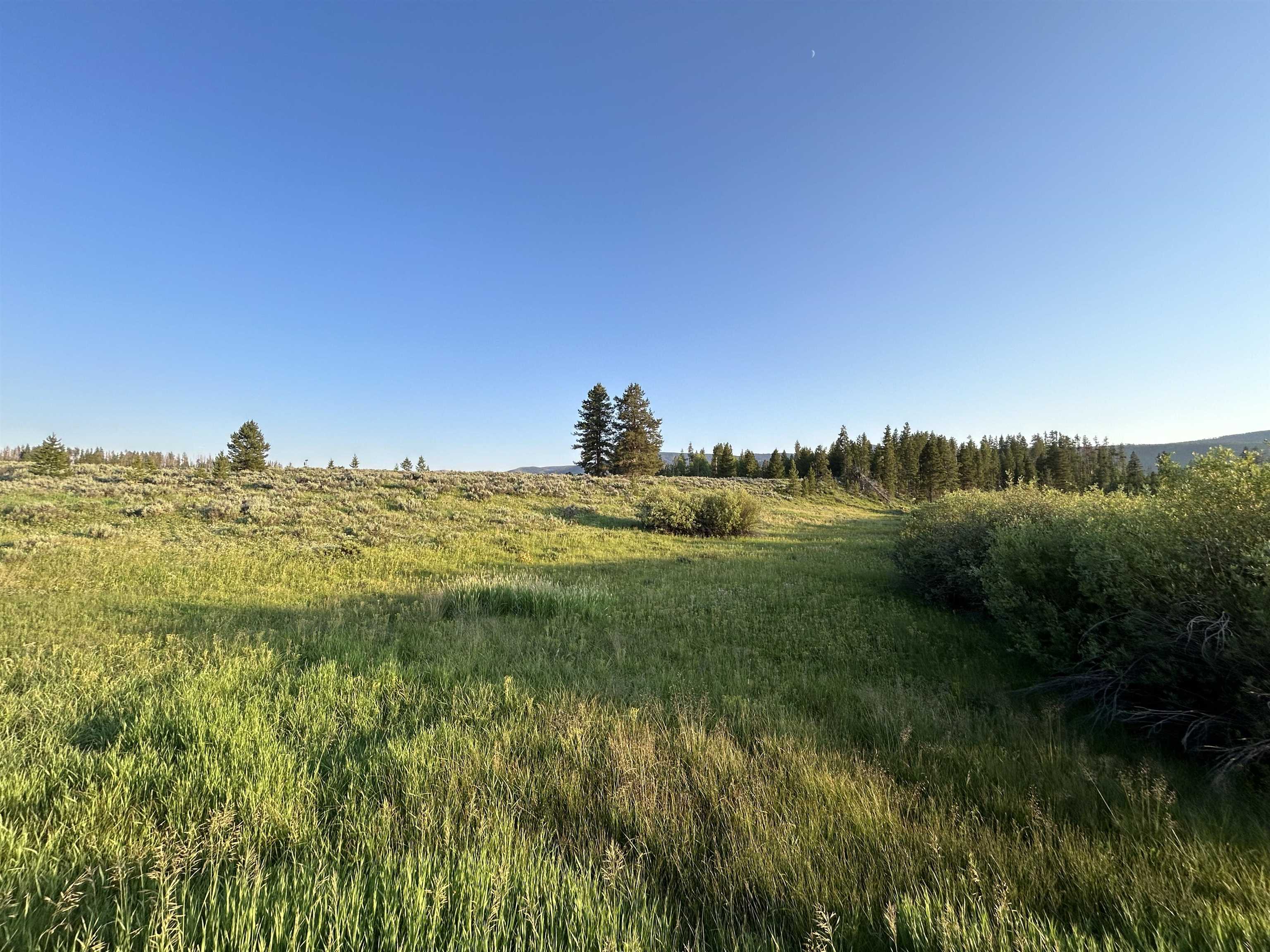 20965 Hoch-eye Way Property Photo 14