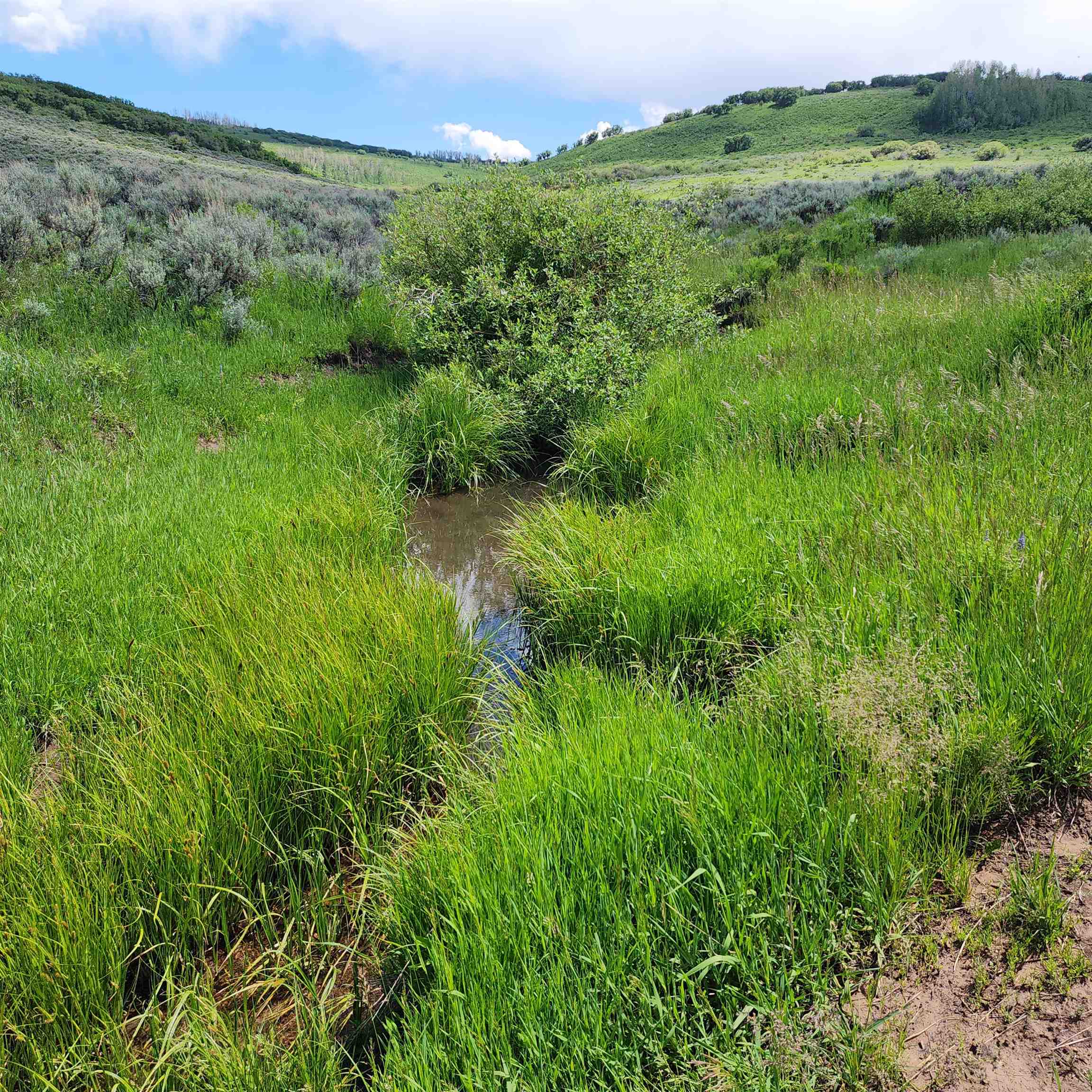 Tbd Zs Road Property Photo 3