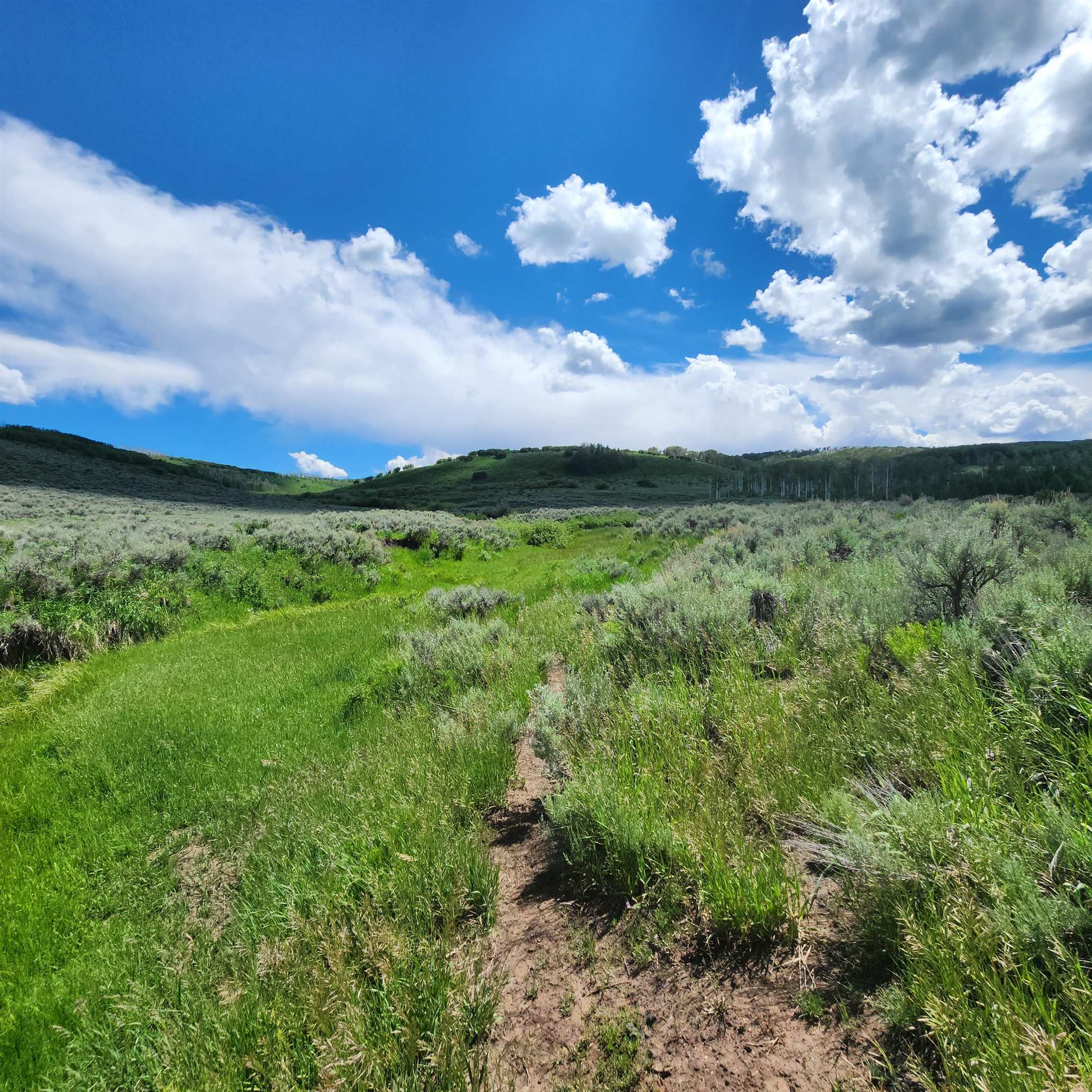 Tbd Zs Road Property Photo 4
