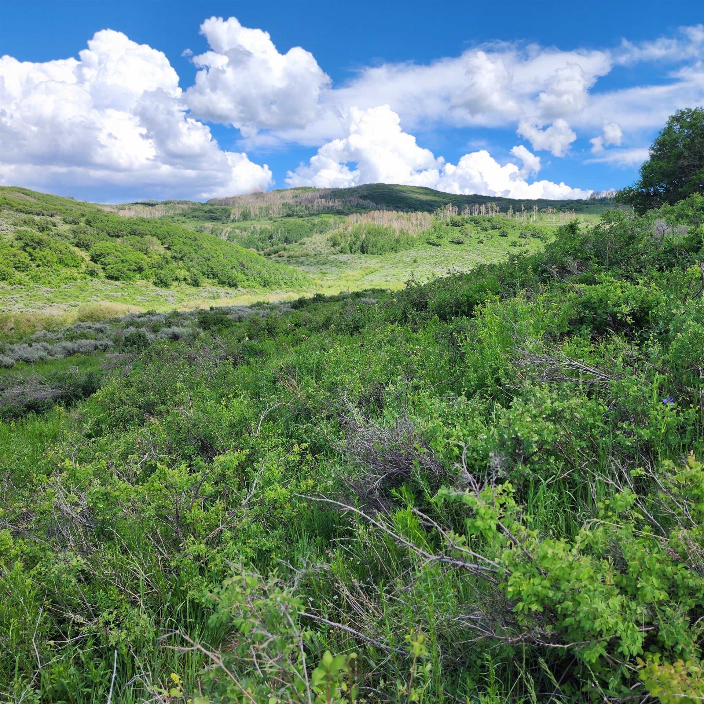Tbd Zs Road Property Photo 5