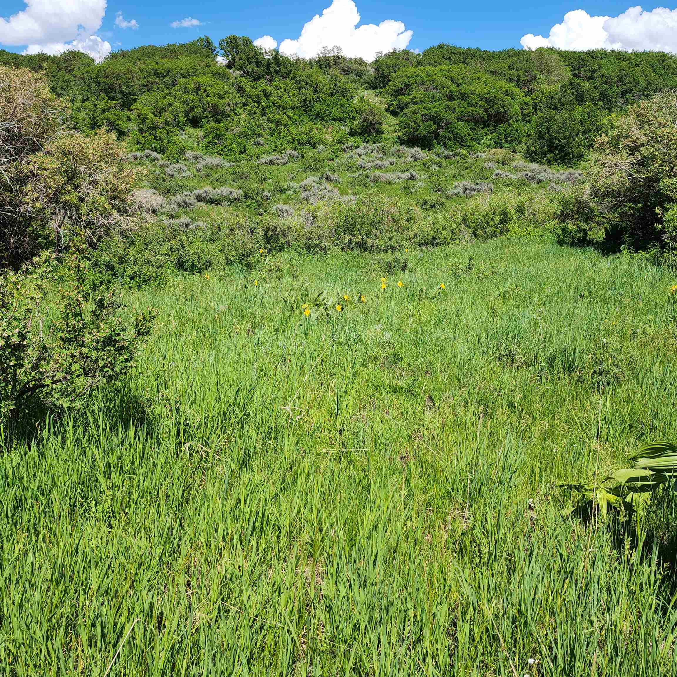 Tbd Zs Road Property Photo 6