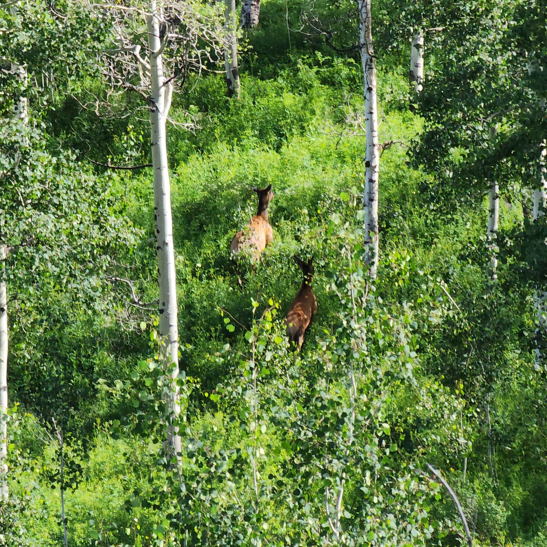 Tbd Zs Road Property Photo 11