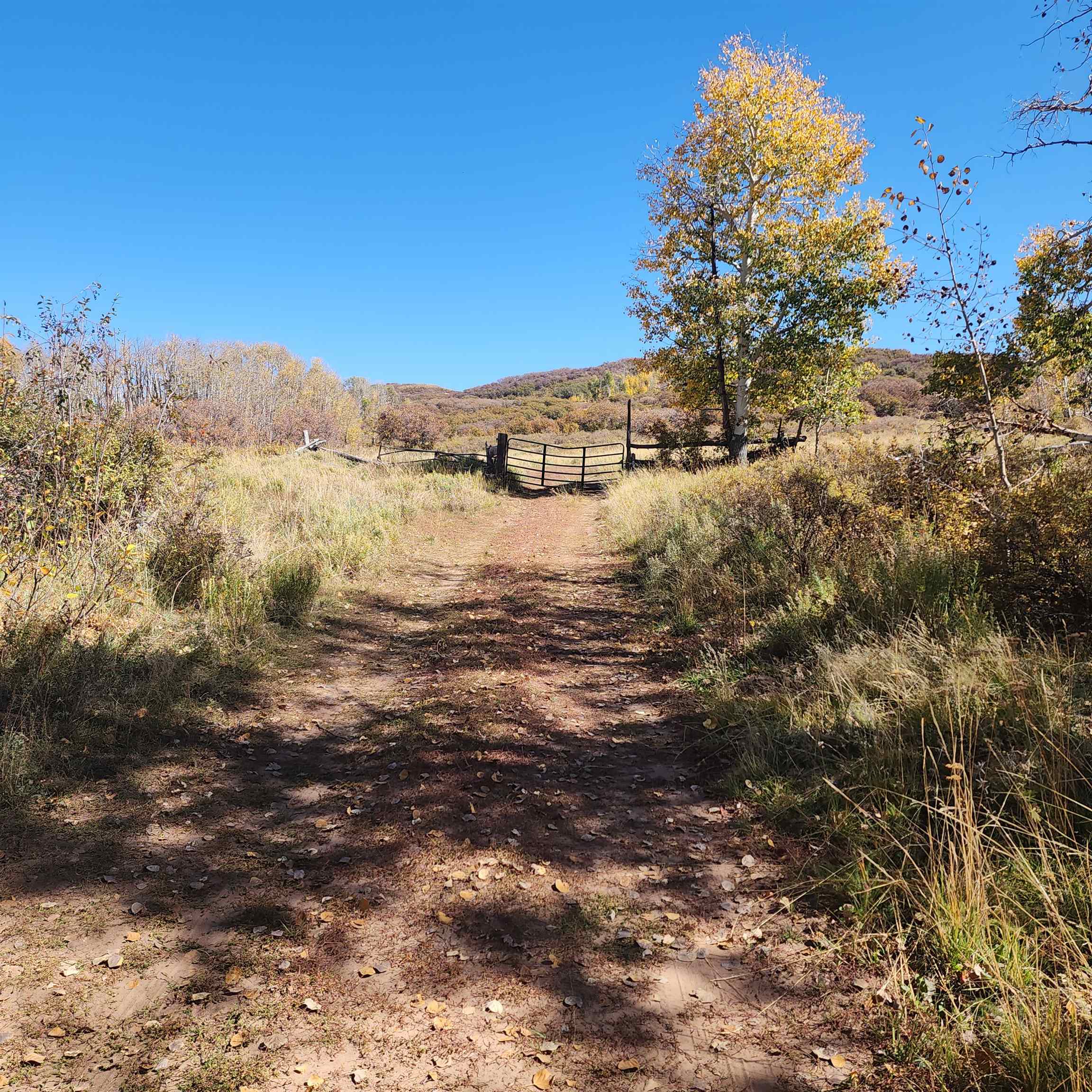 Tbd Zs Road Property Photo 15