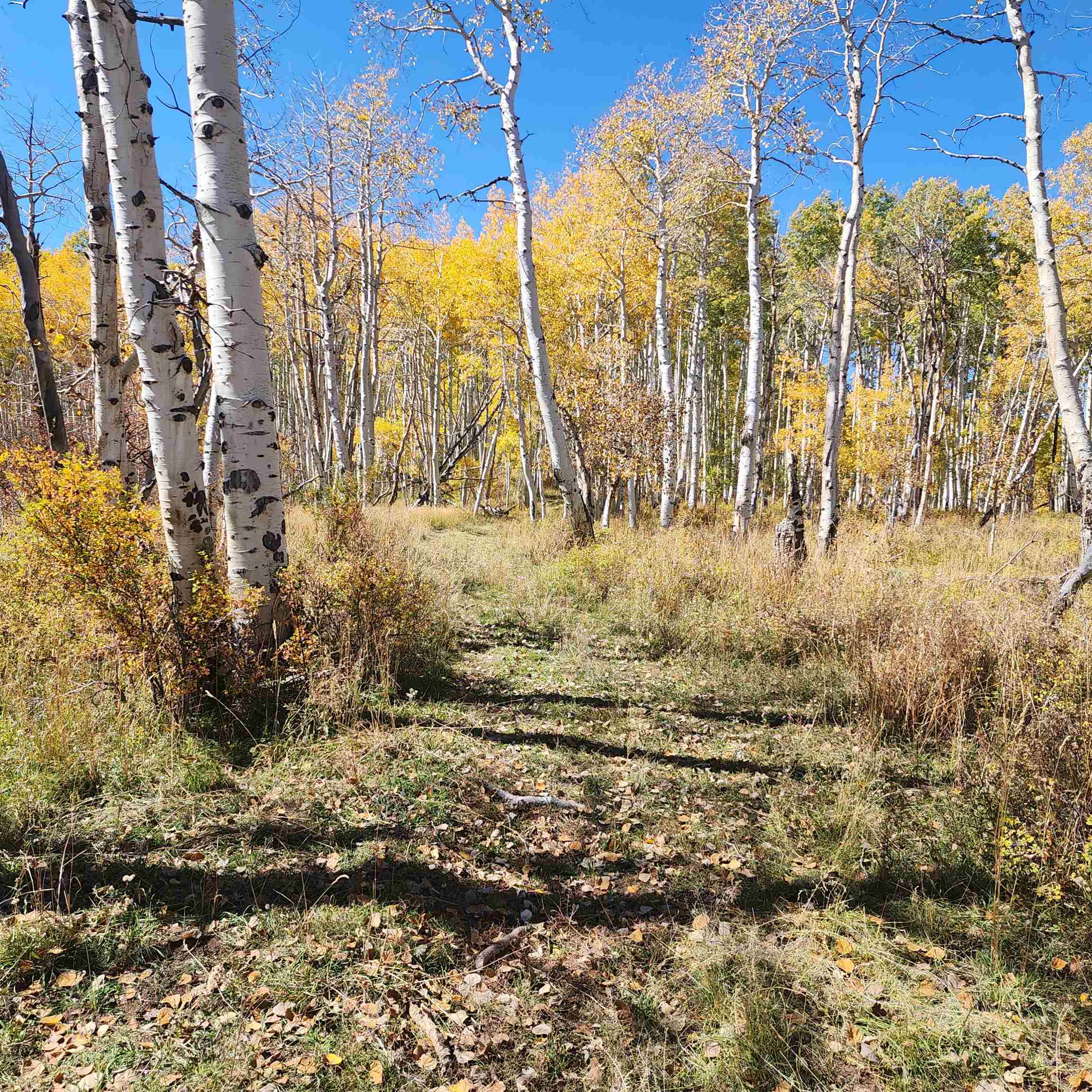 Tbd Zs Road Property Photo 16