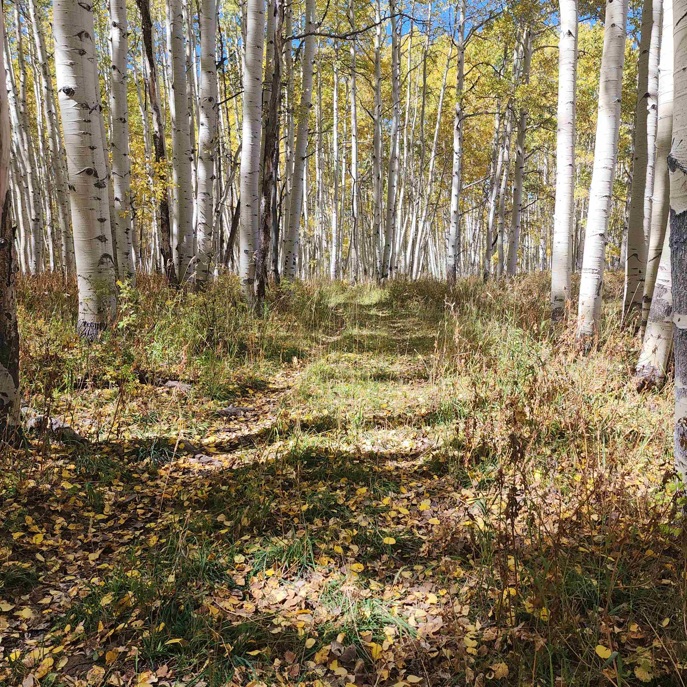 Tbd Zs Road Property Photo 17
