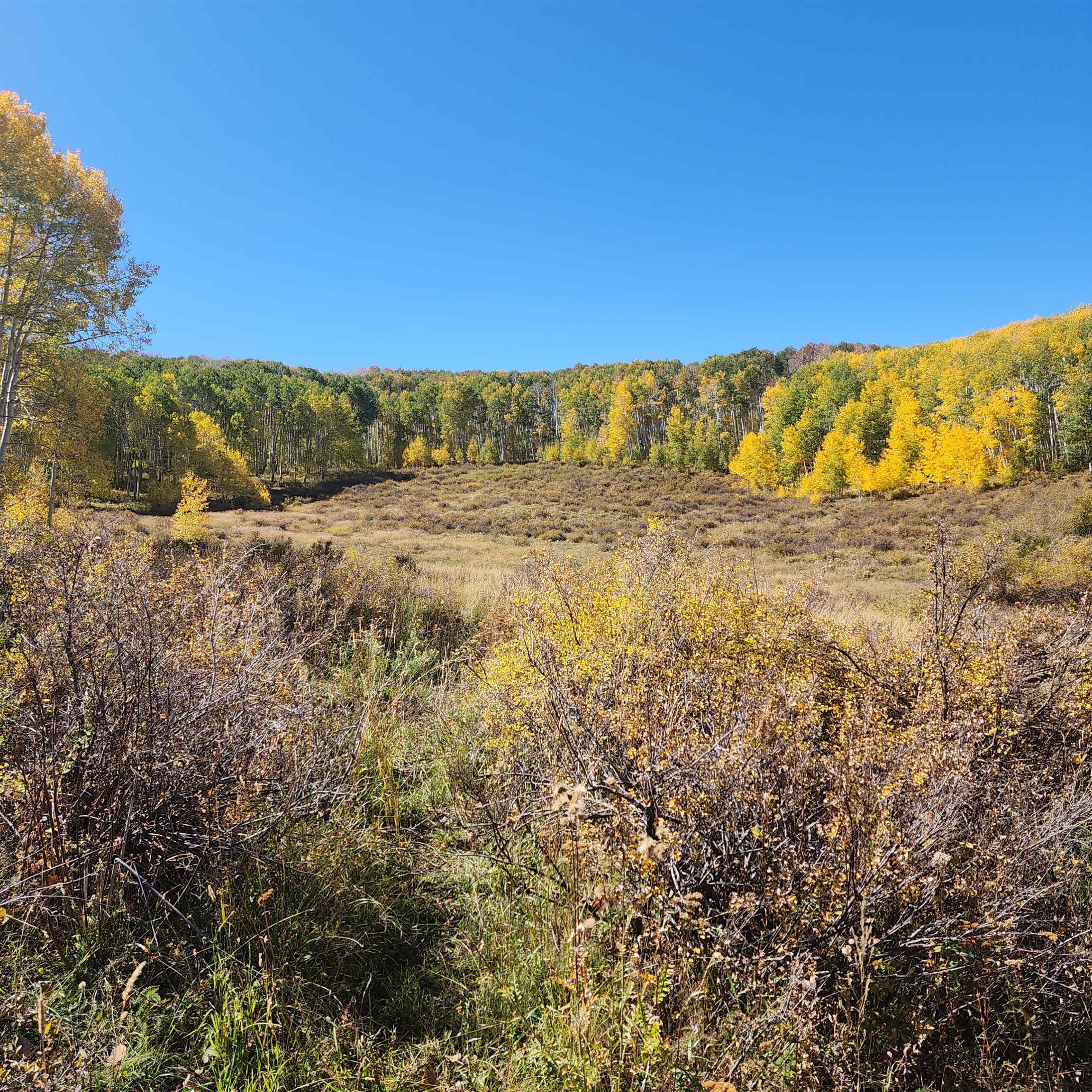 Tbd Zs Road Property Photo 18