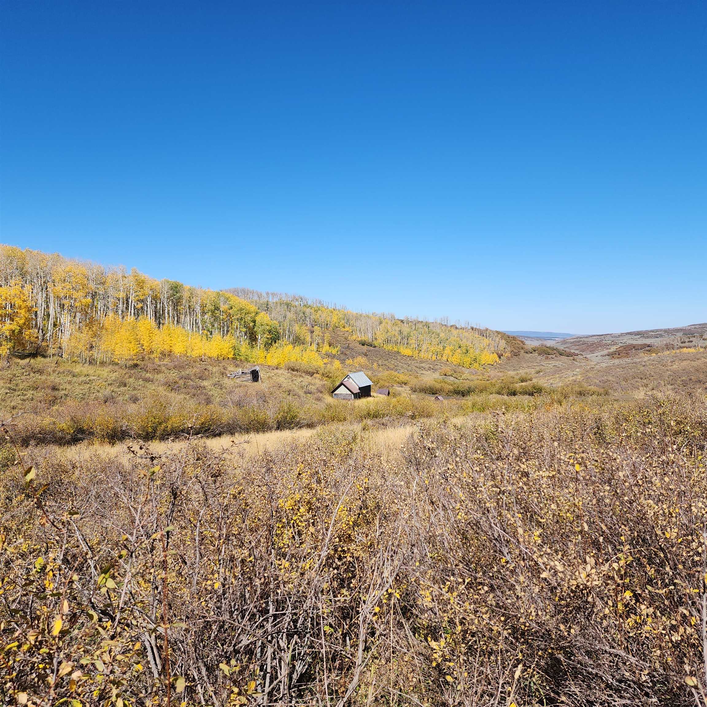 Tbd Zs Road Property Photo 19