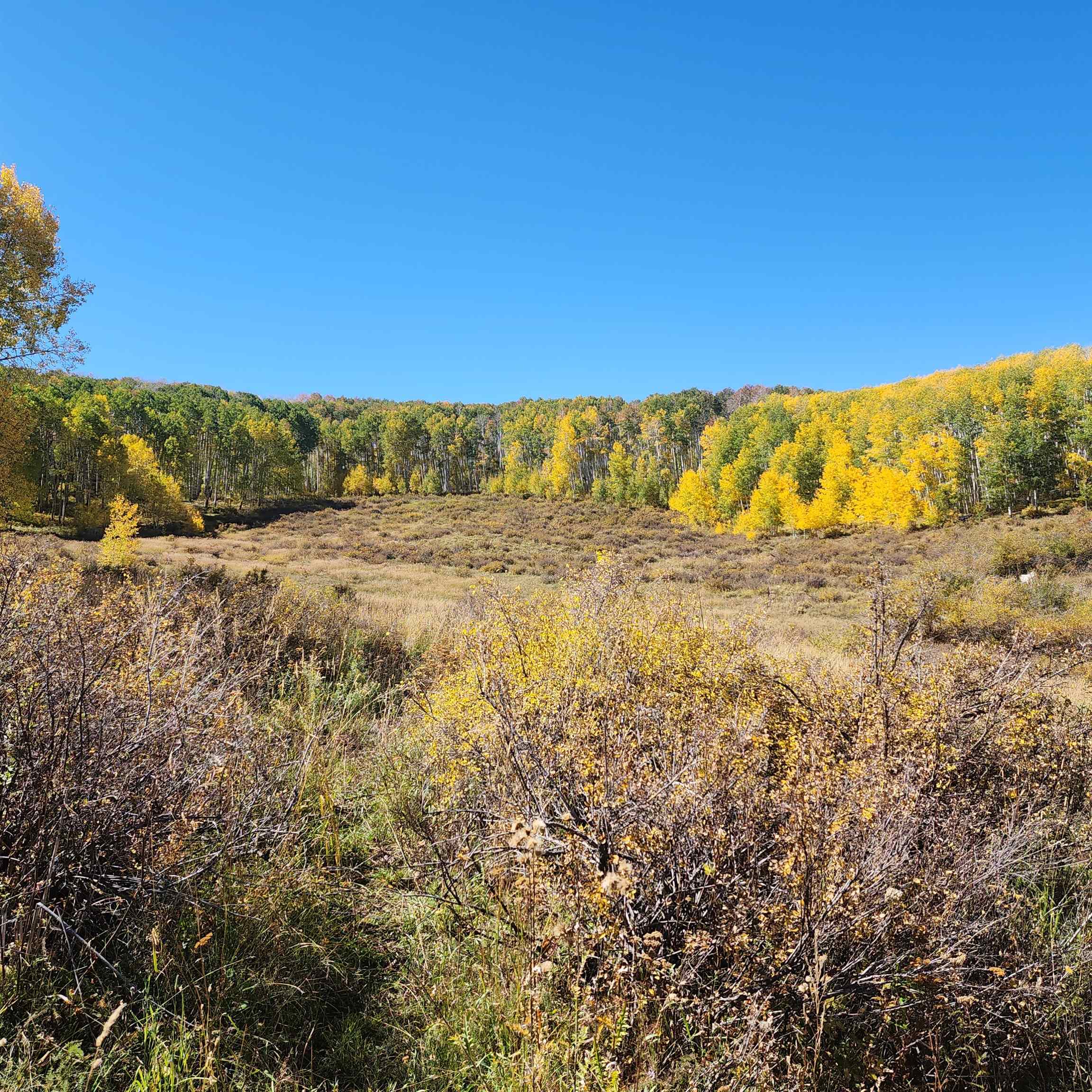 Tbd Zs Road Property Photo 20