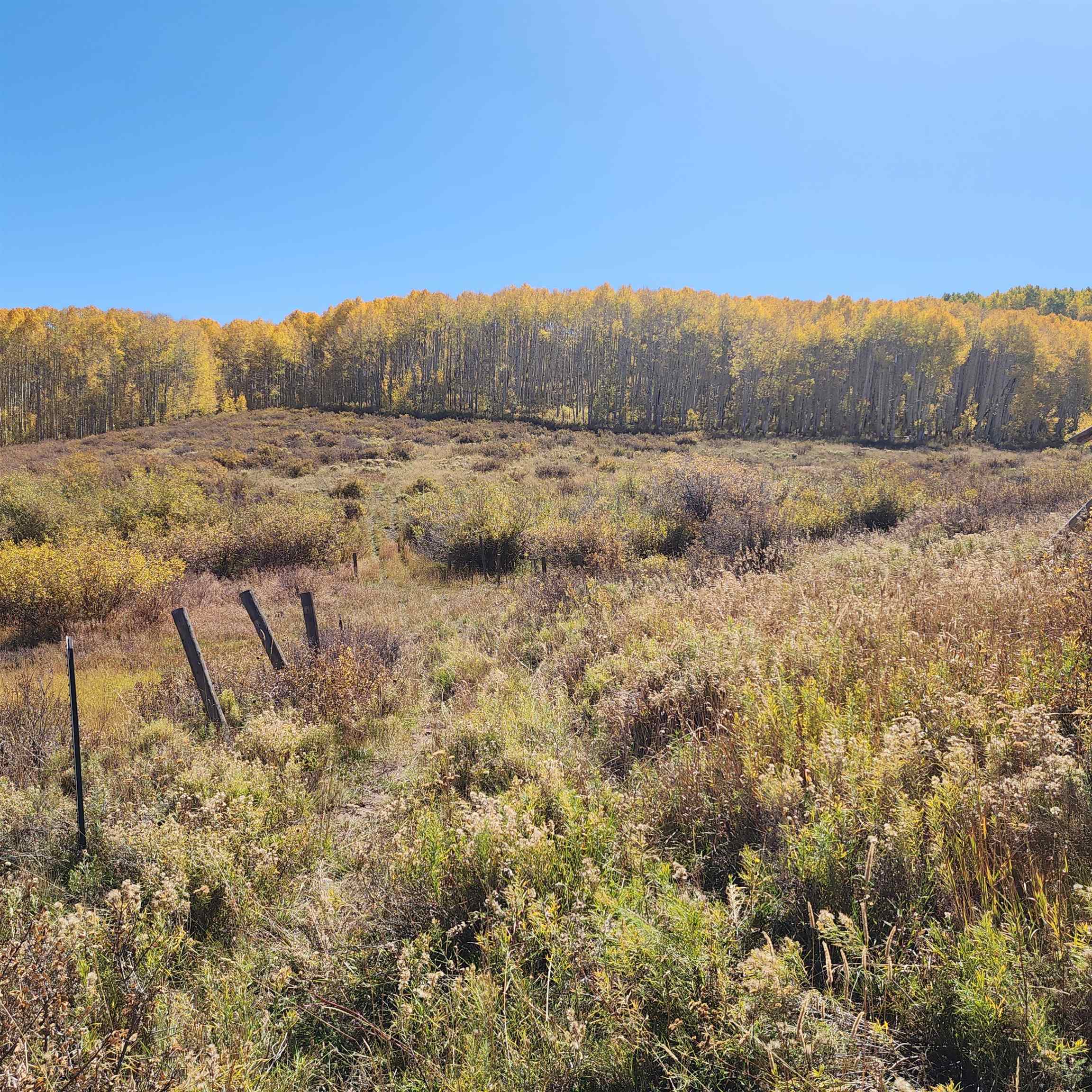 Tbd Zs Road Property Photo 24