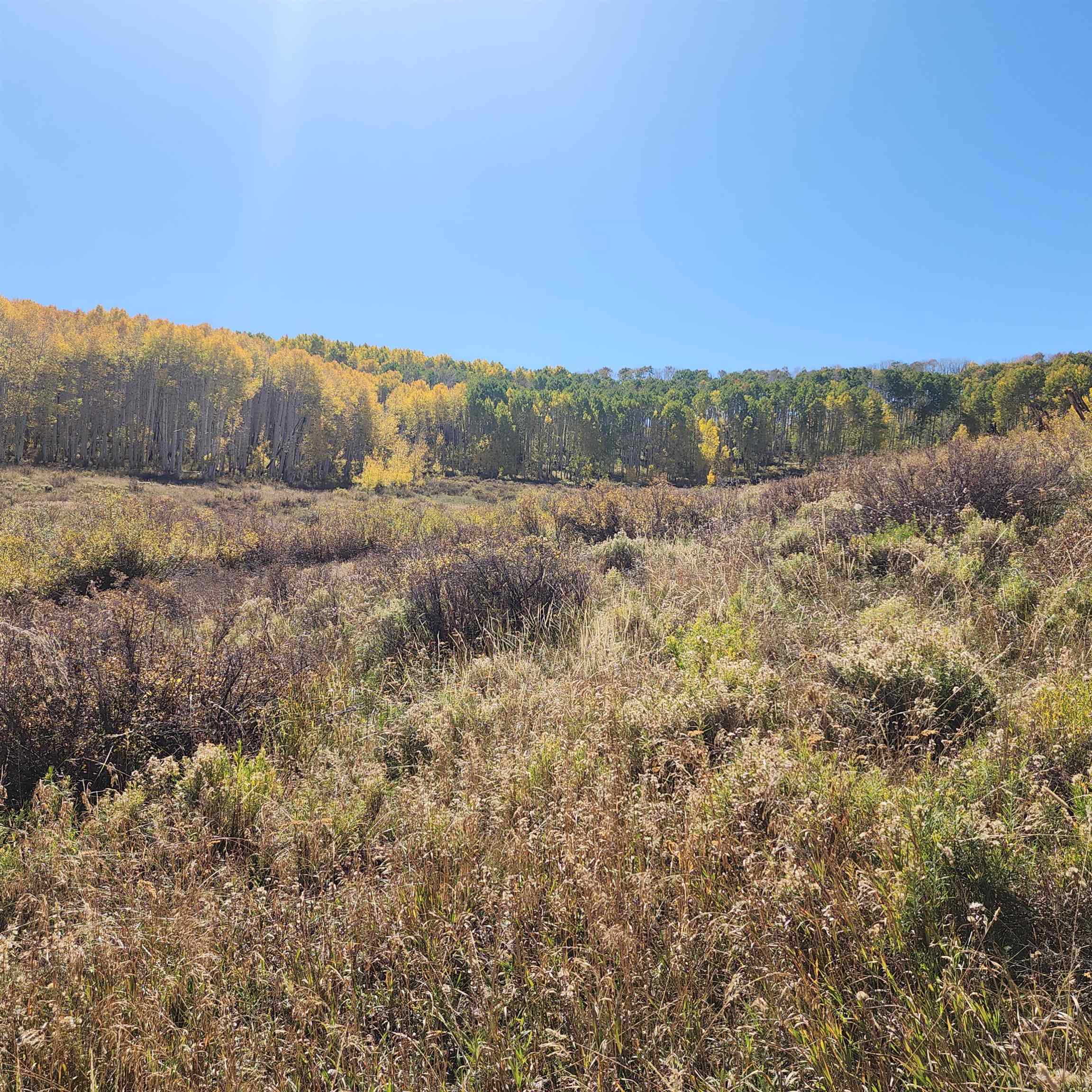 Tbd Zs Road Property Photo 27