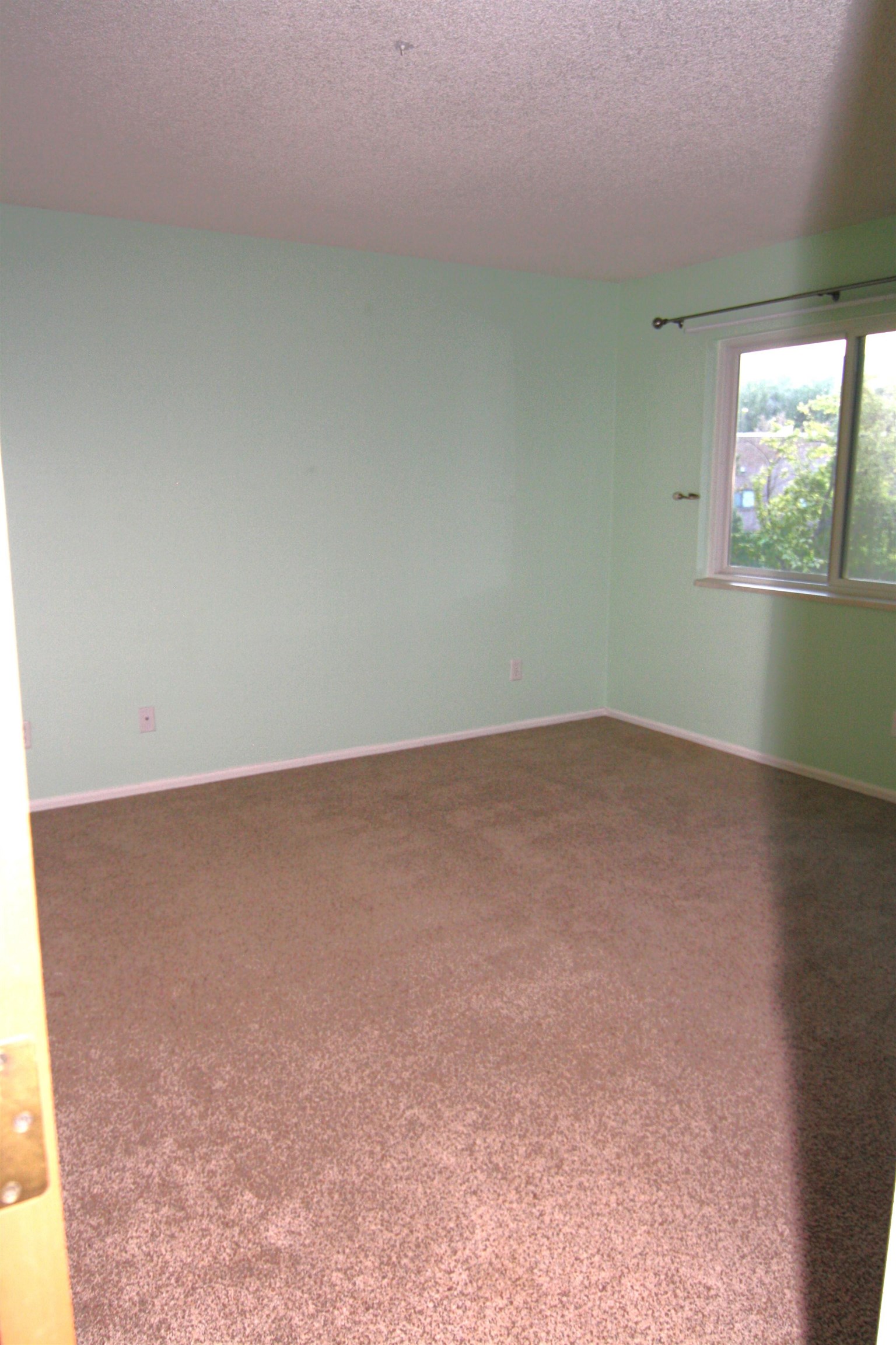 5 Cognac Court Property Photo 10