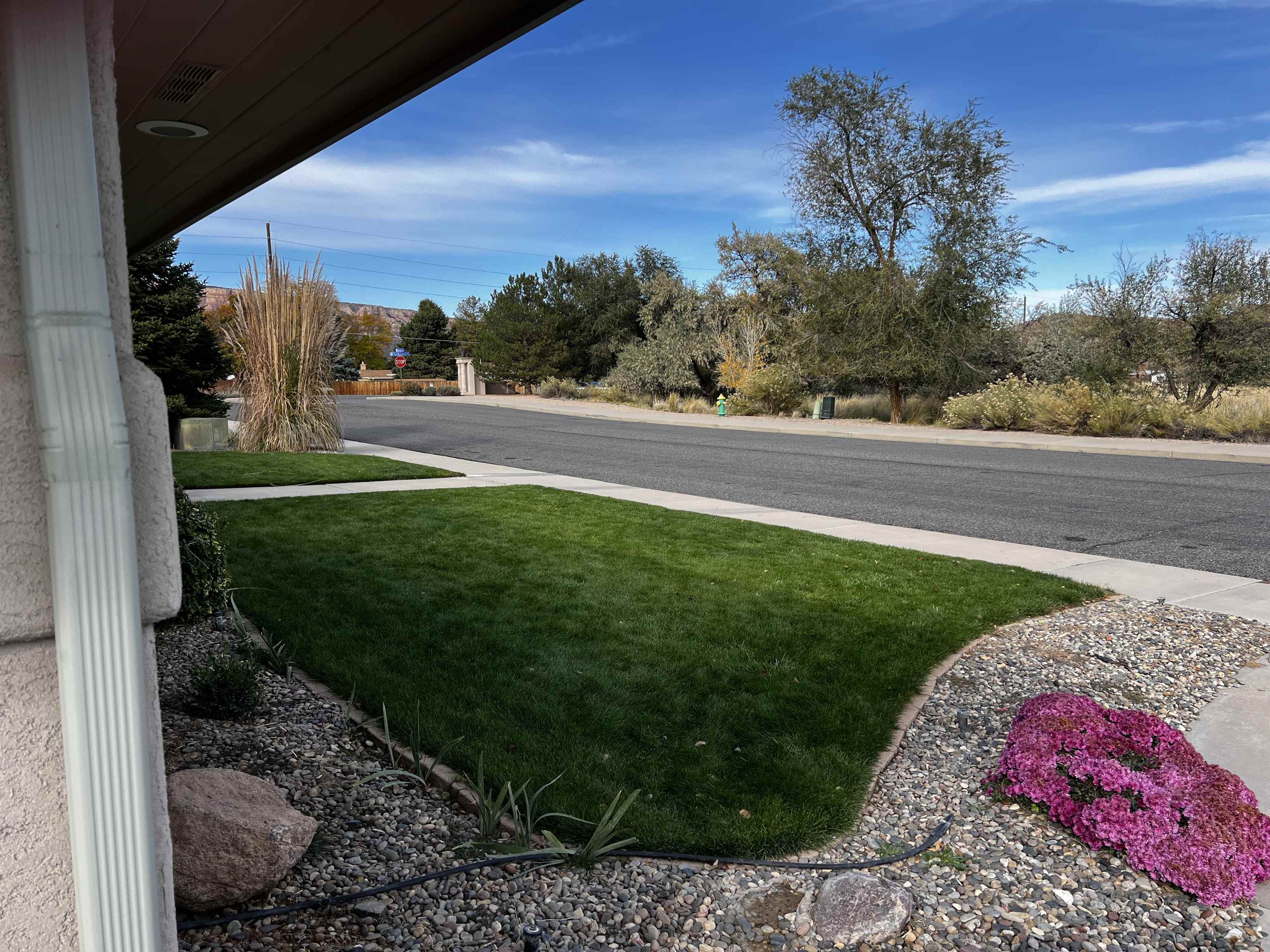 2203 Renaissance Boulevard Property Photo 3