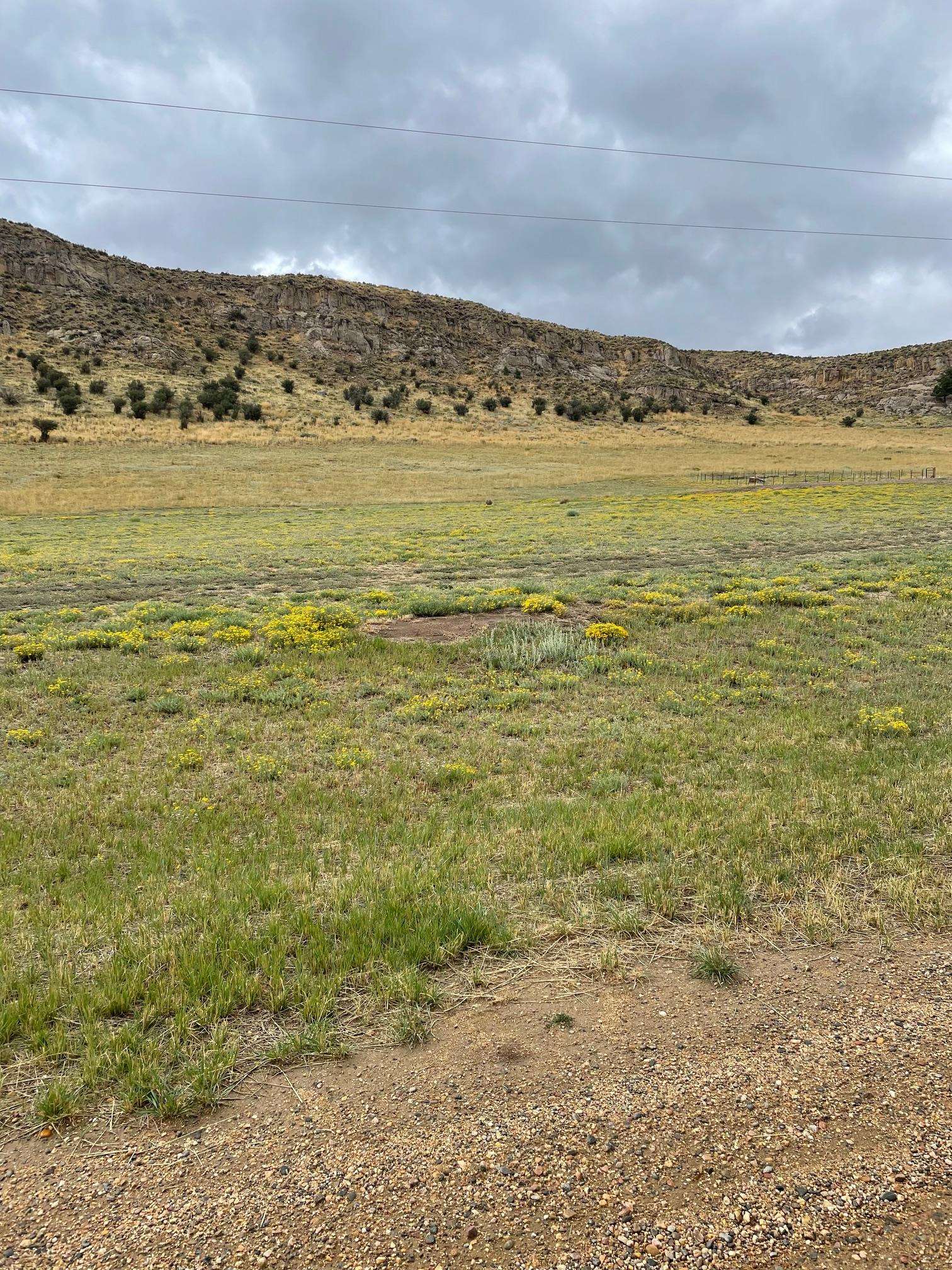 479 Box Canyon Road Property Photo 12