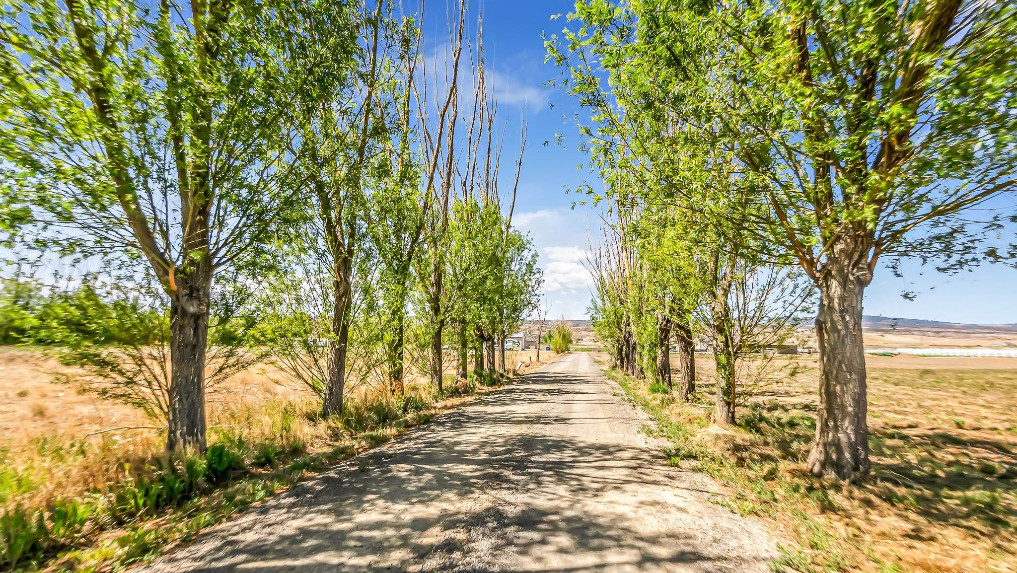 Area 31 Real Estate Listings Main Image