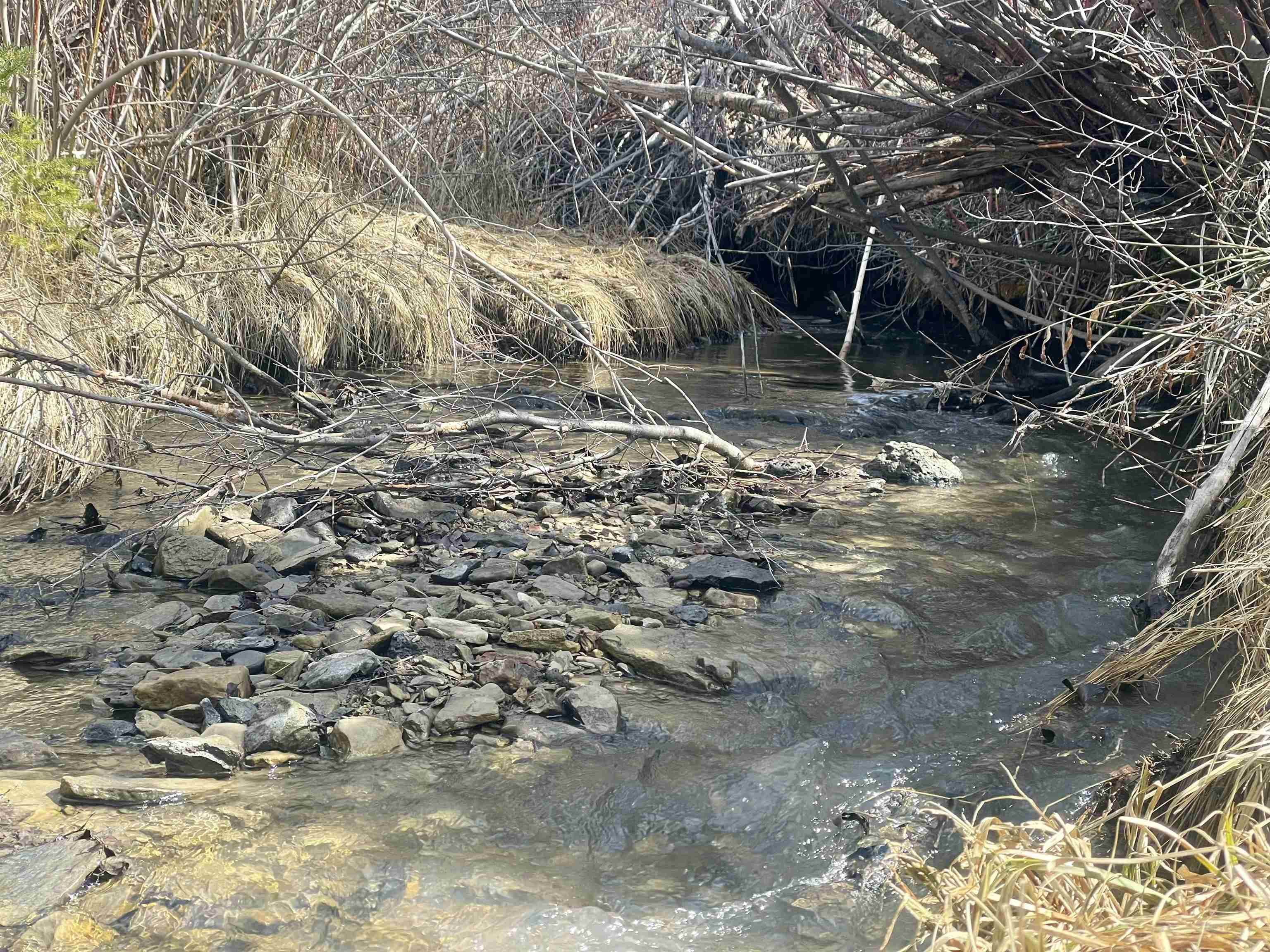19106 Kimball Creek Road Property Photo 24