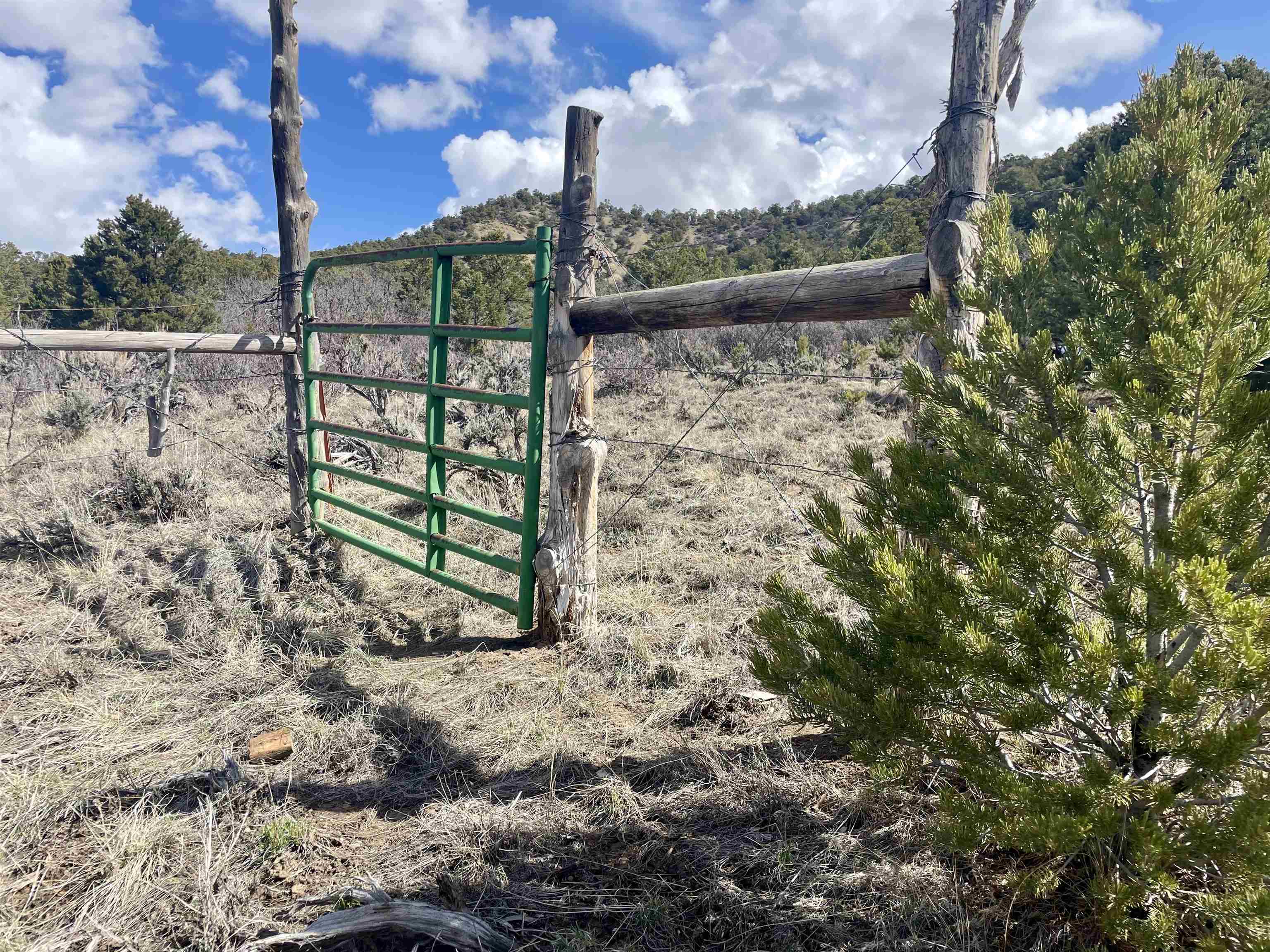 19106 Kimball Creek Road Property Photo 25