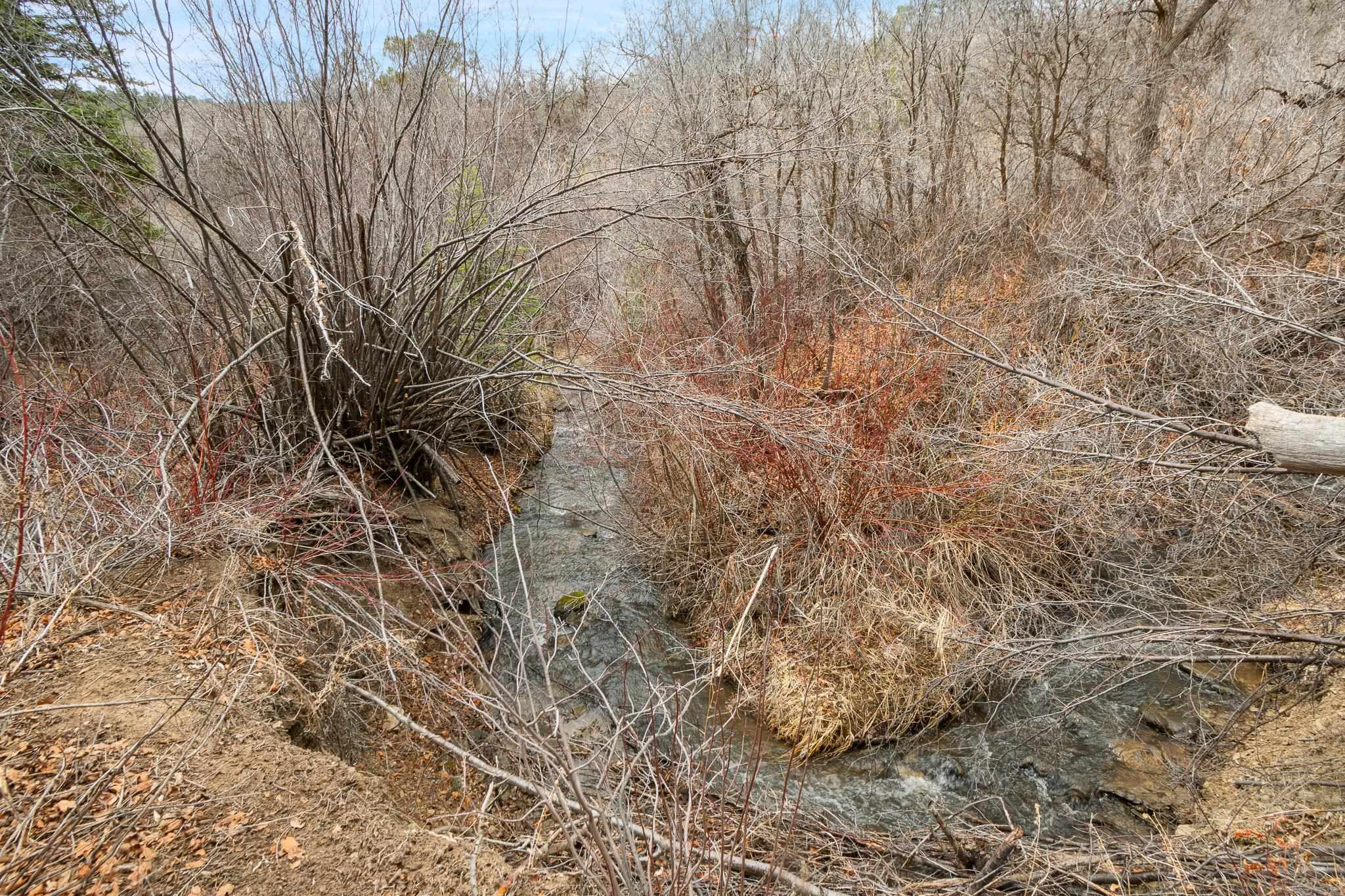 19106 Kimball Creek Road Property Photo 26