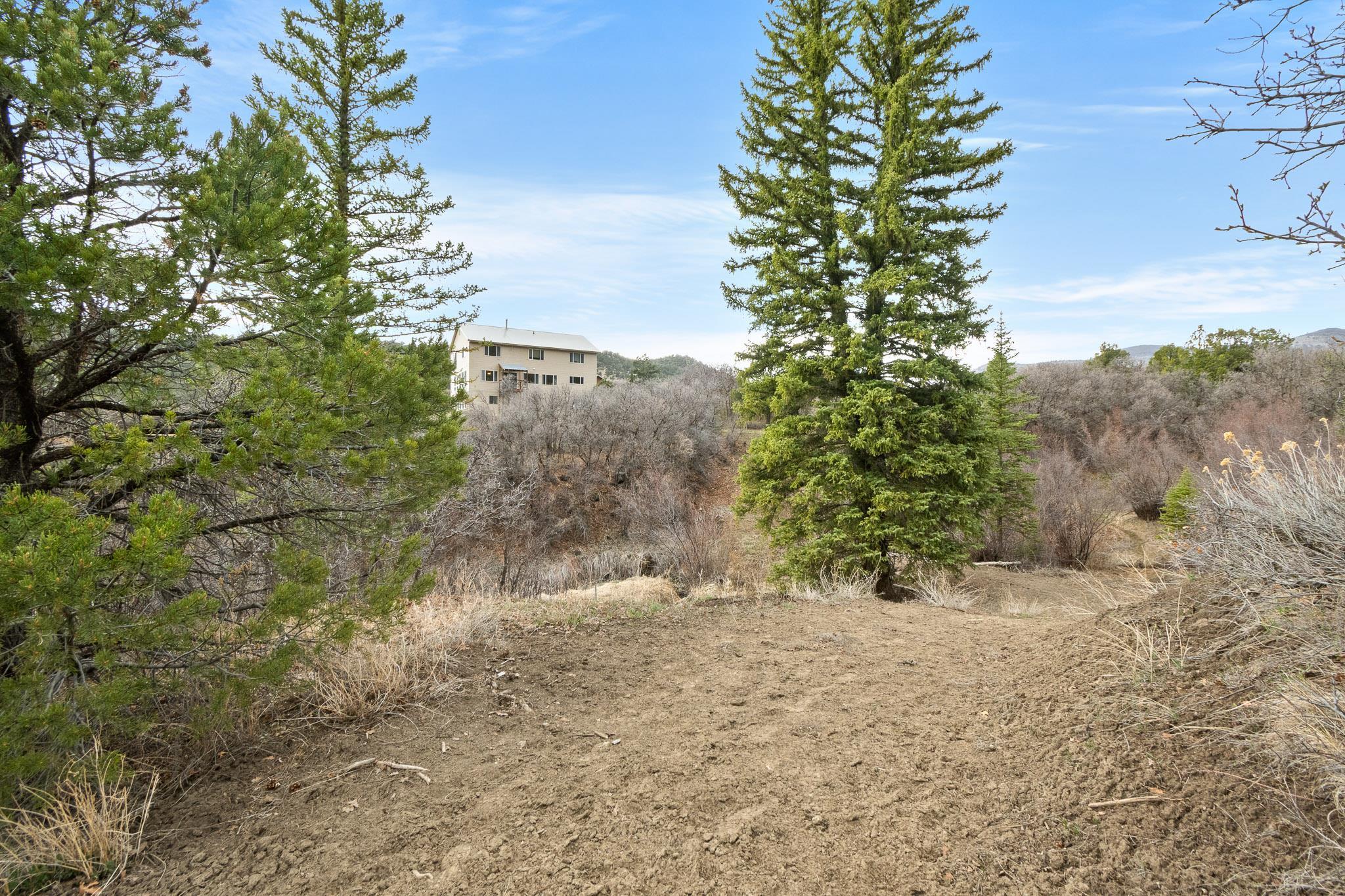 19106 Kimball Creek Road Property Photo 27