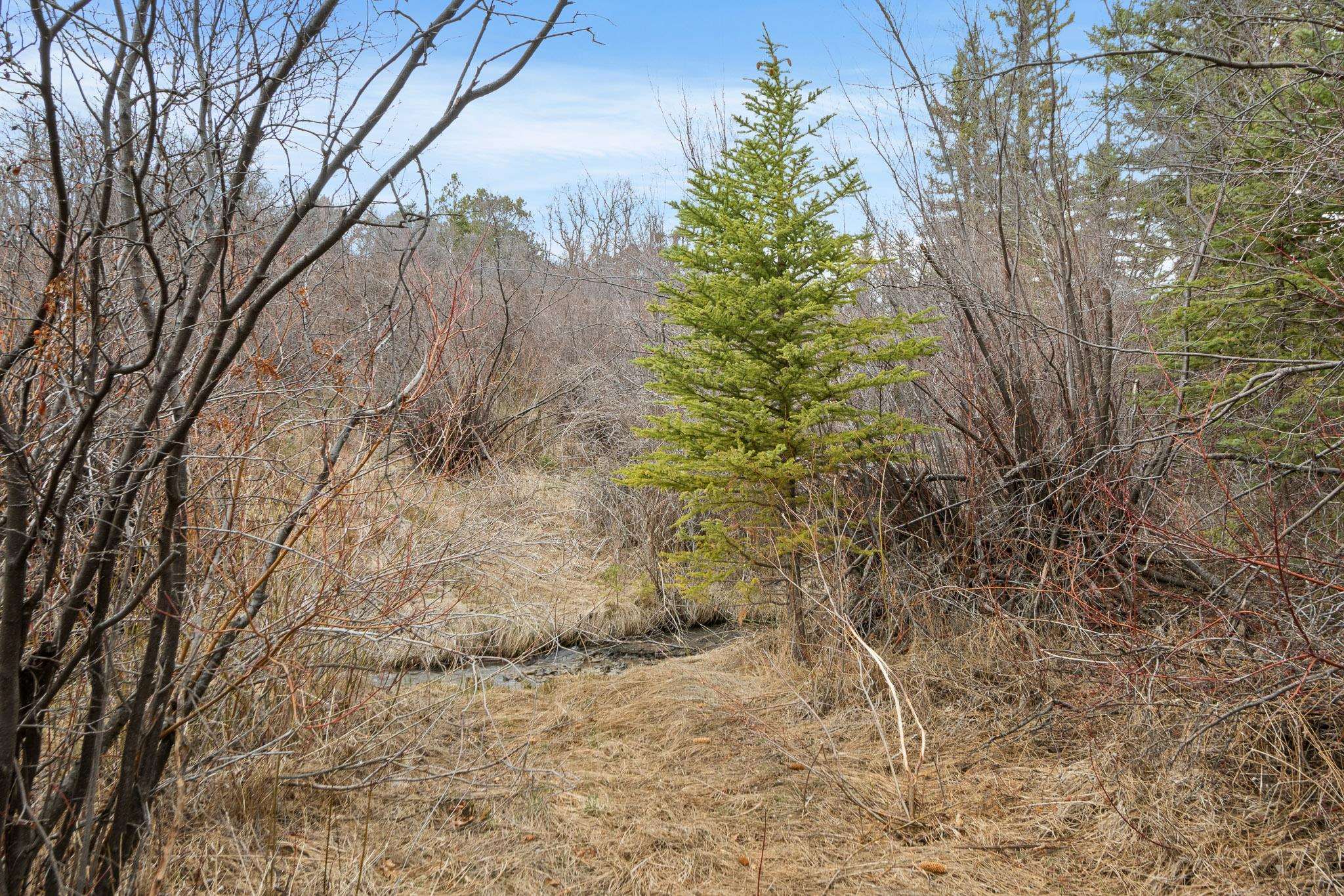 19106 Kimball Creek Road Property Photo 28