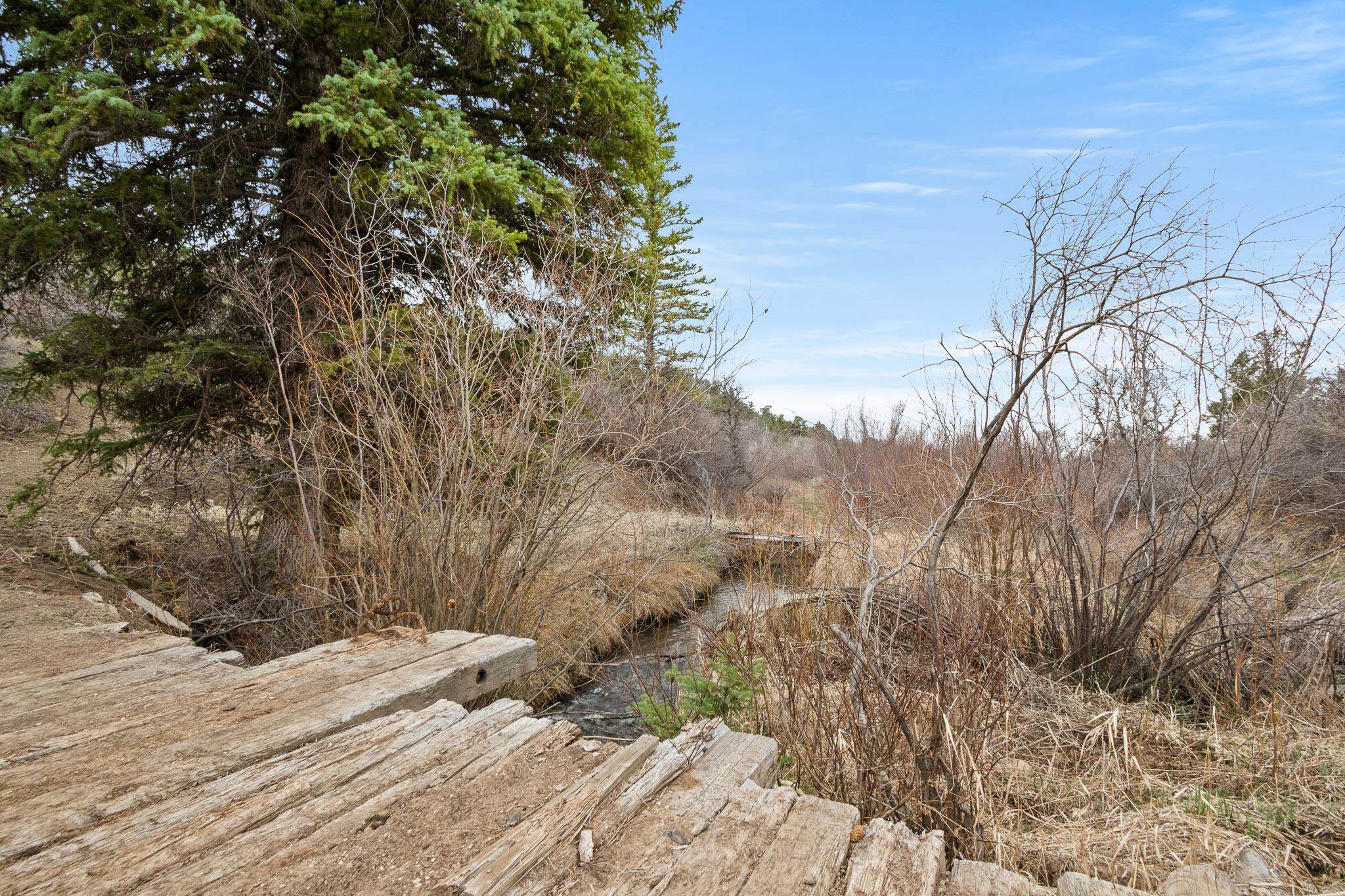 19106 Kimball Creek Road Property Photo 29