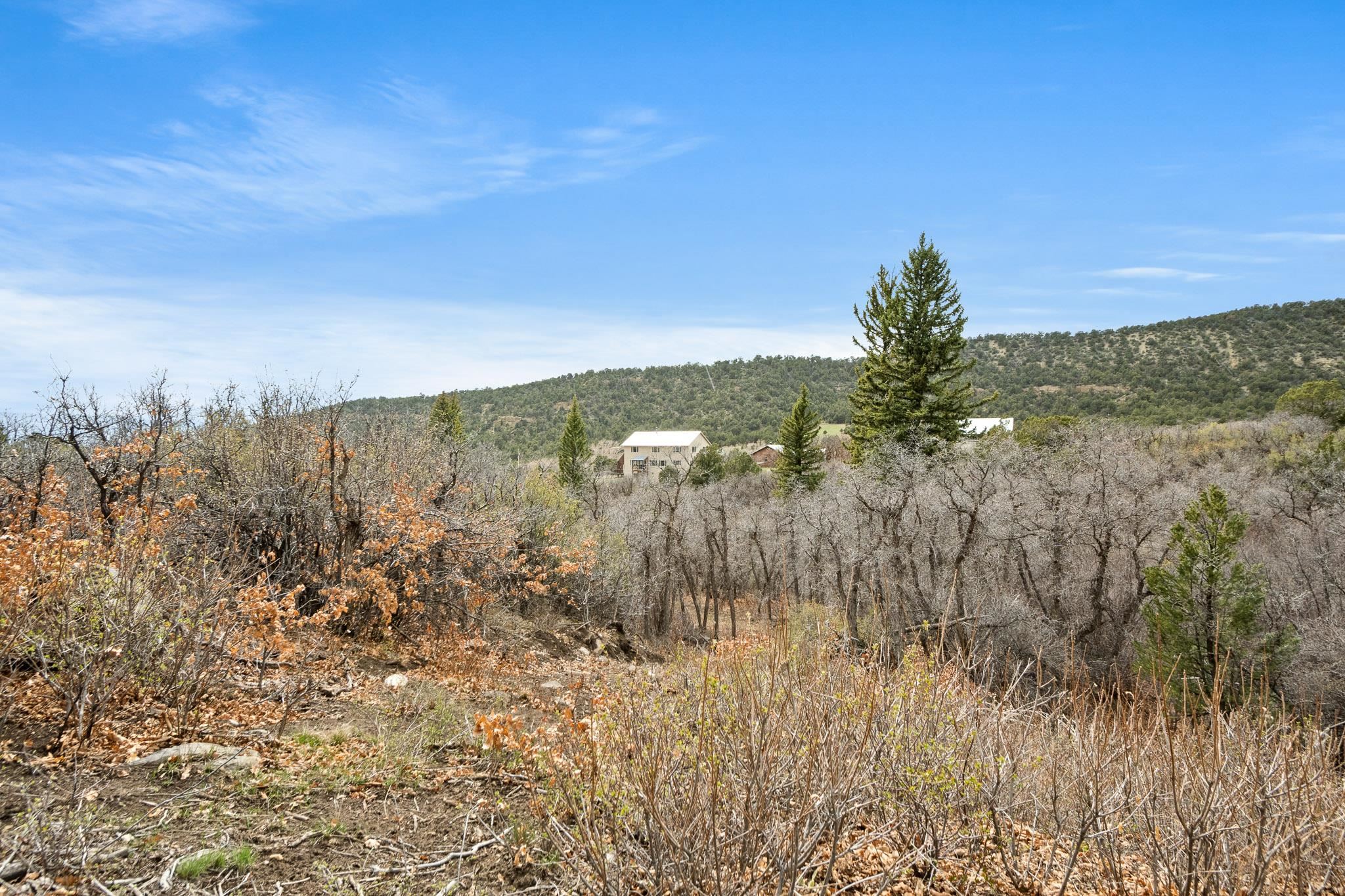 19106 Kimball Creek Road Property Photo 30