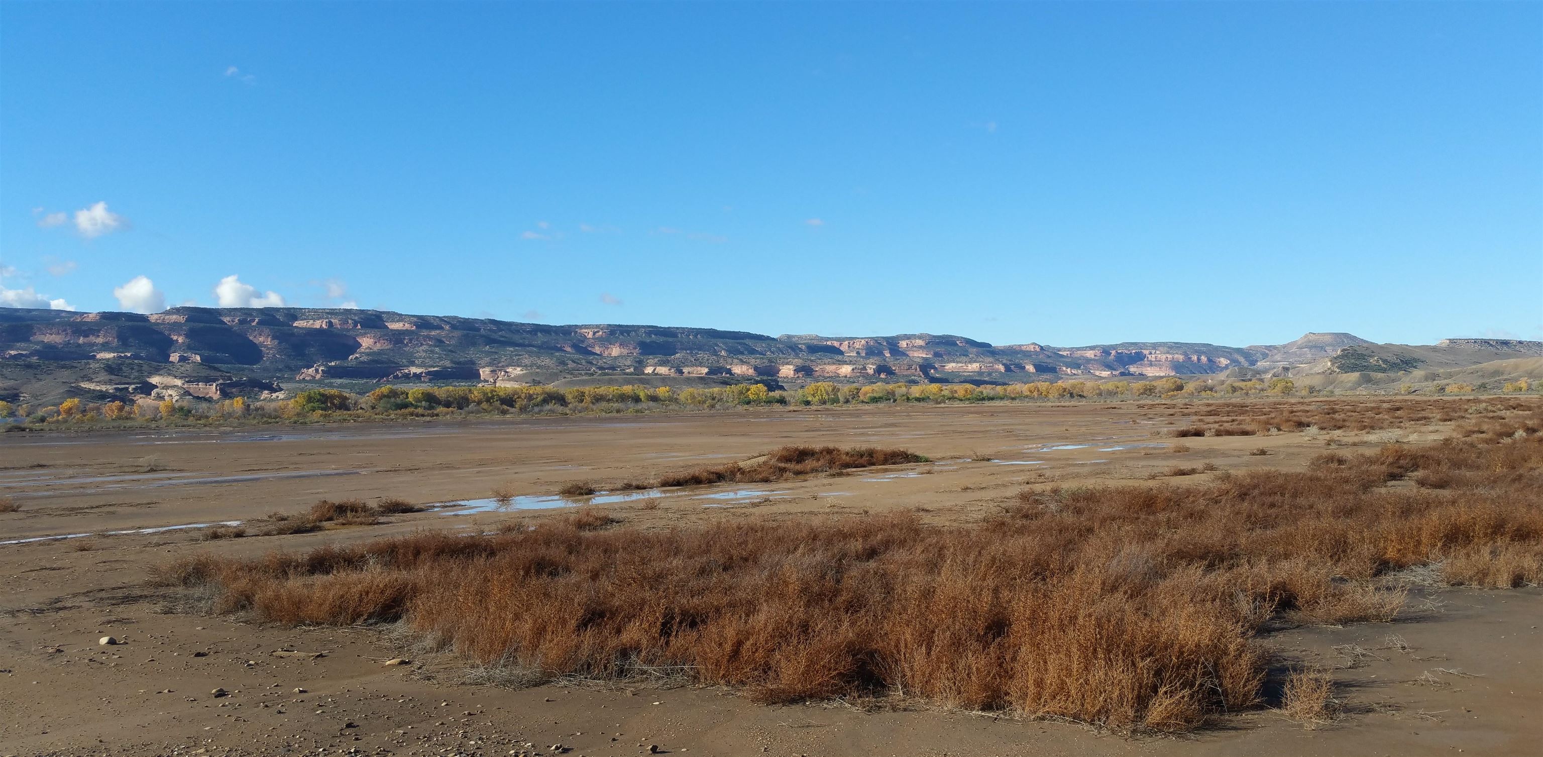 1165 15 Road Property Photo 2