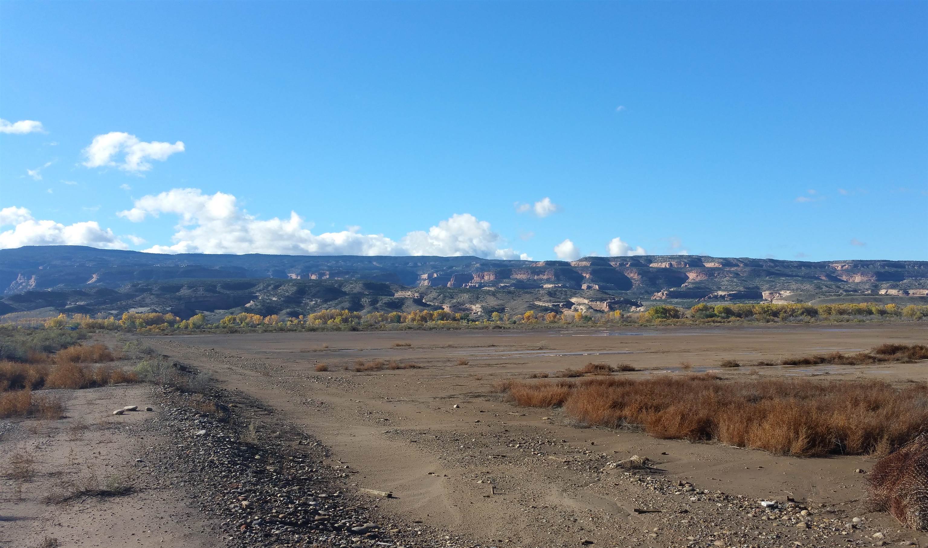 1165 15 Road Property Photo 3