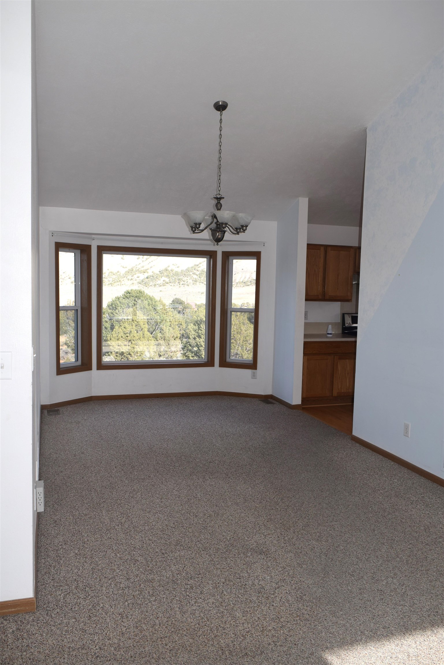 501 Shana Lane Property Photo 12