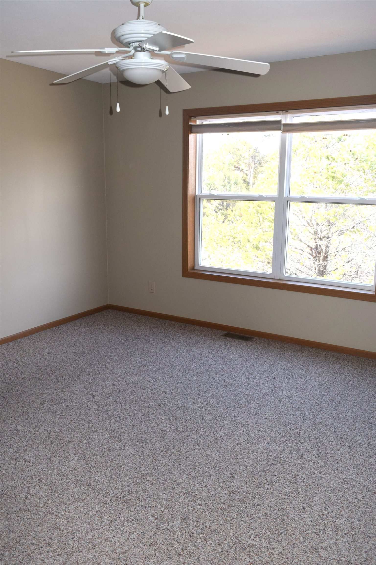 501 Shana Lane Property Photo 14
