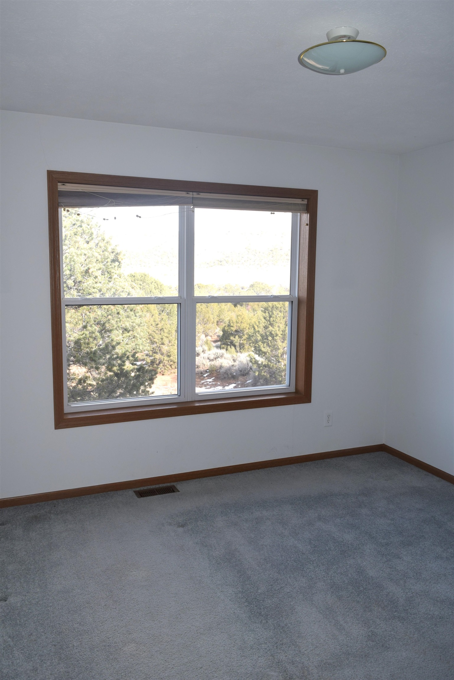 501 Shana Lane Property Photo 16