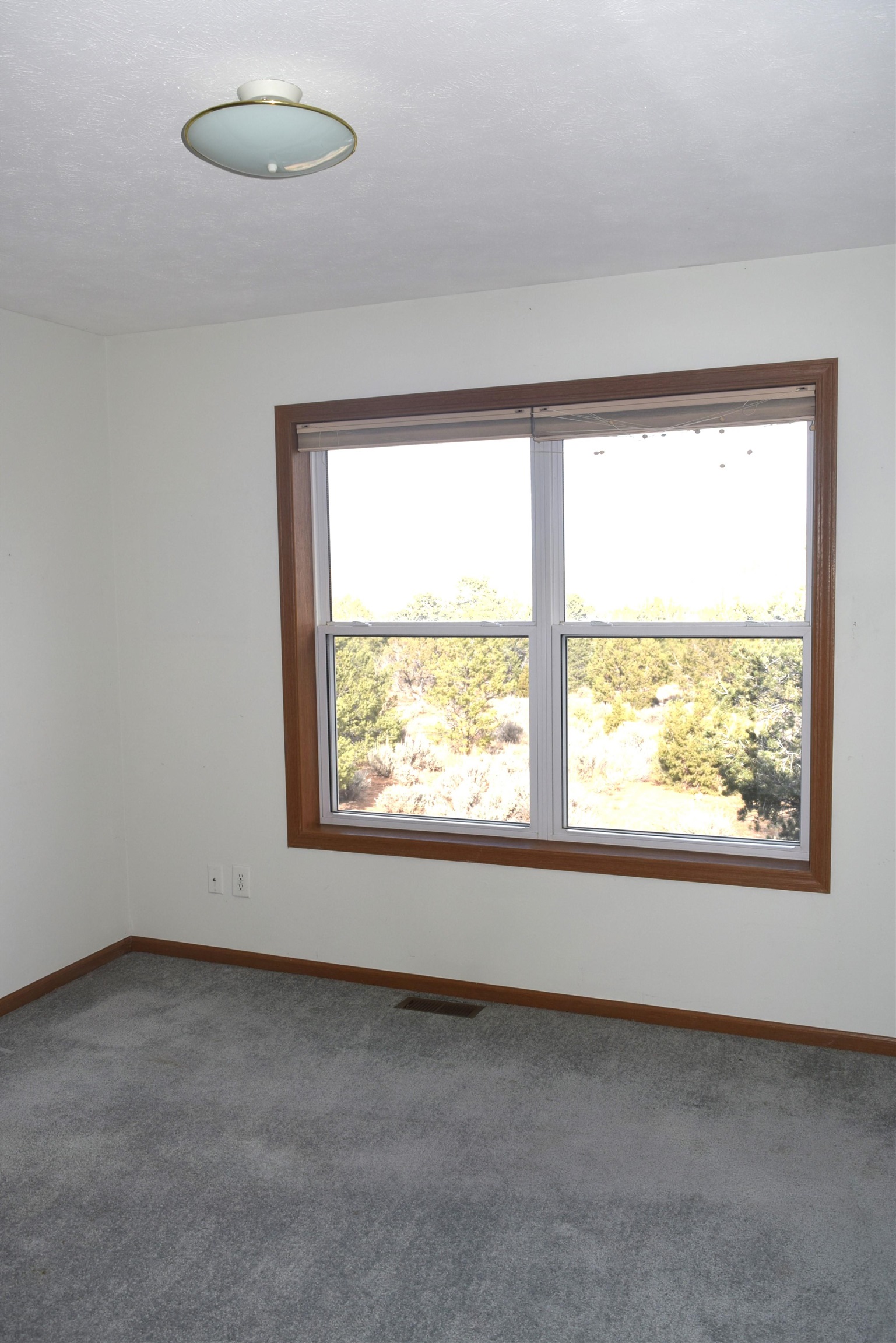 501 Shana Lane Property Photo 17