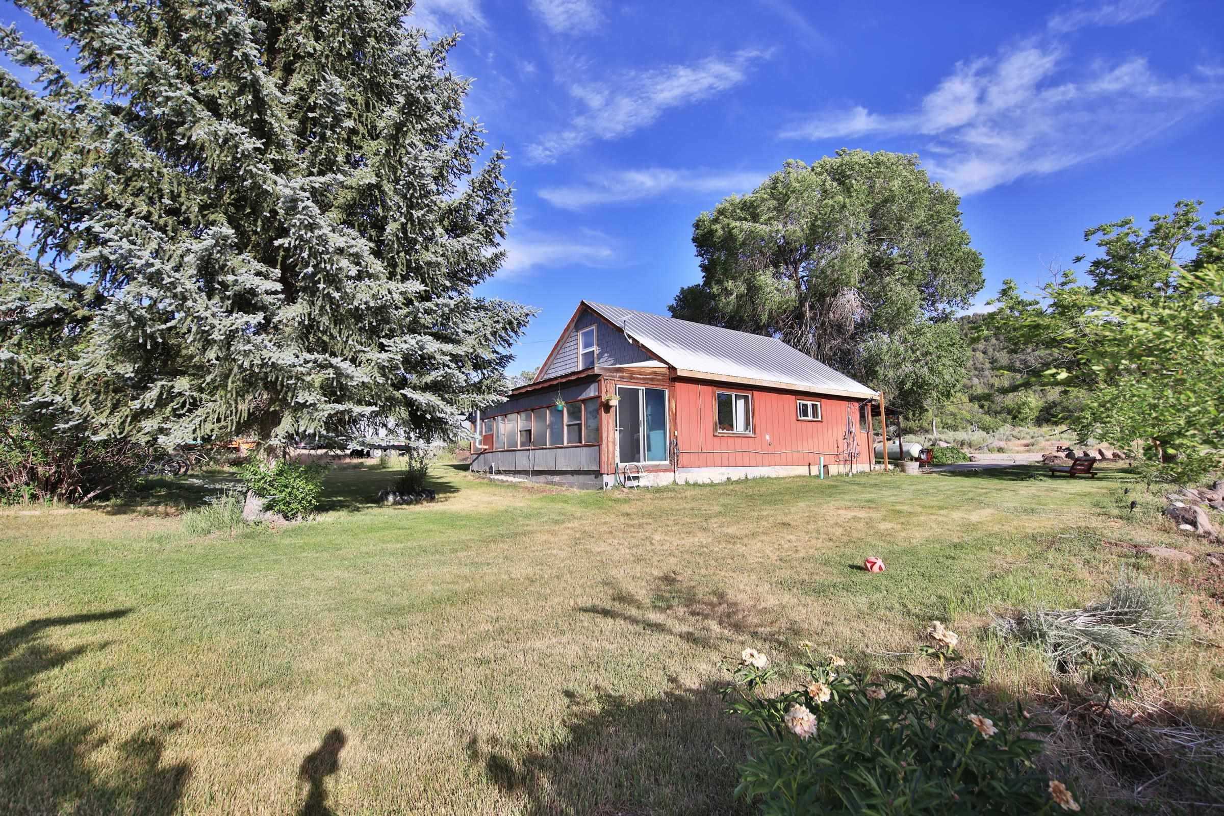 10519 52 1/2 Road Property Photo 21