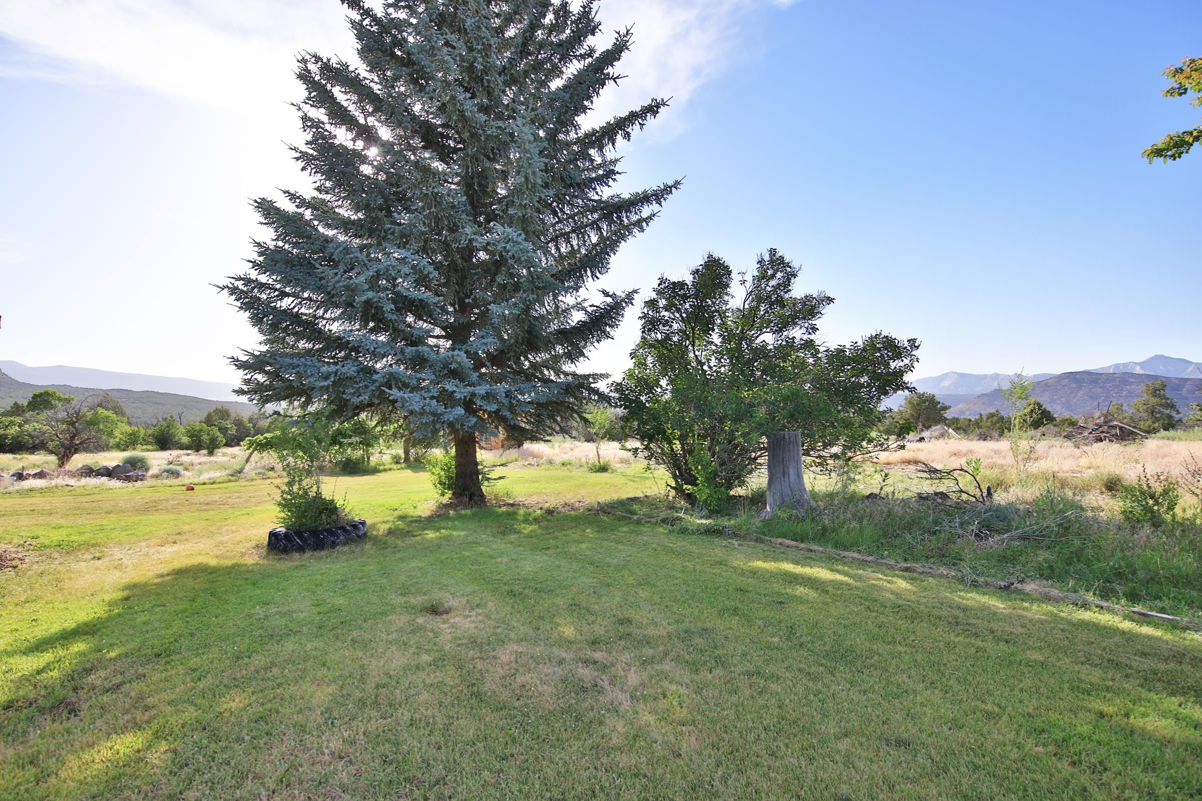 10519 52 1/2 Road Property Photo 23