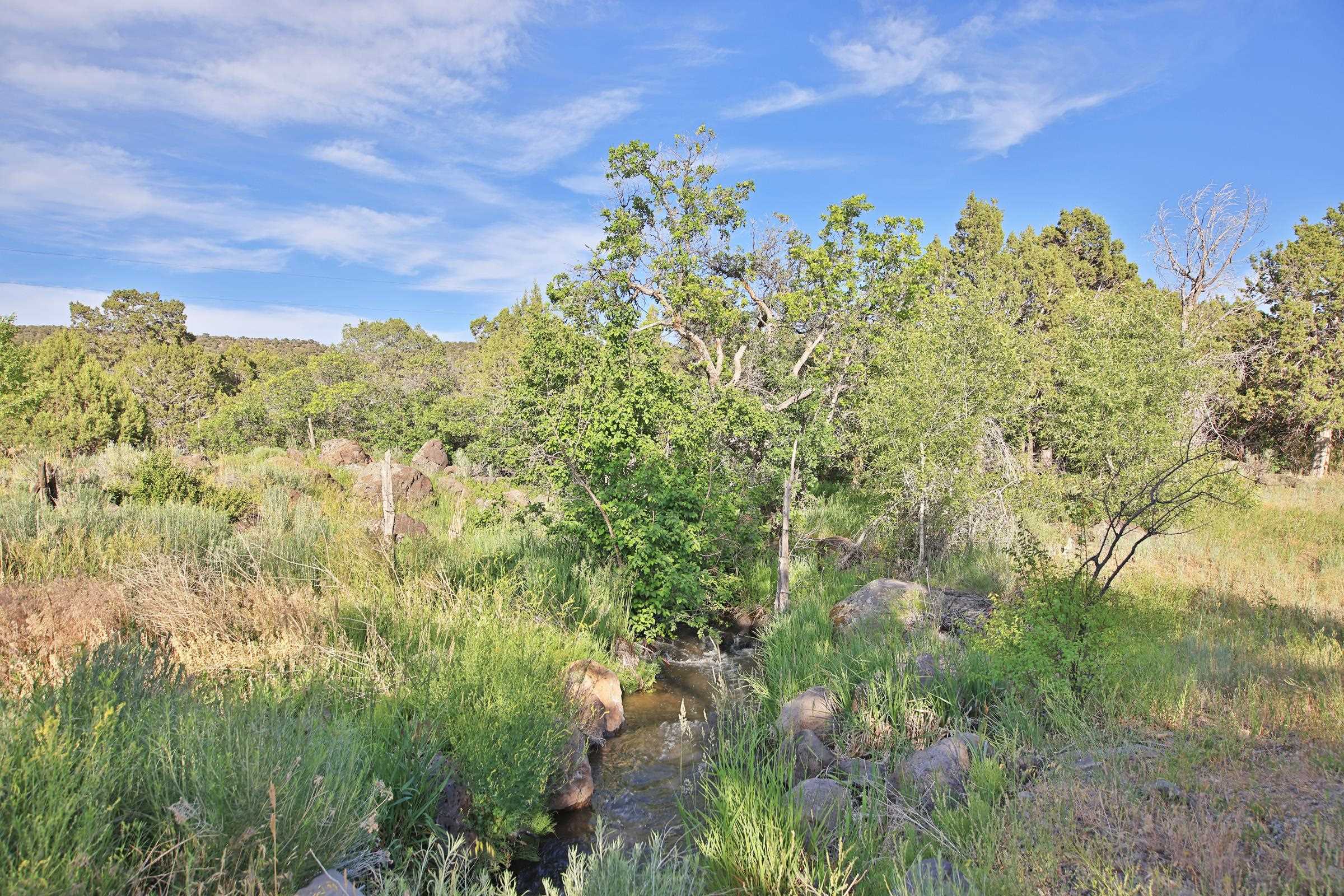 10519 52 1/2 Road Property Photo 24