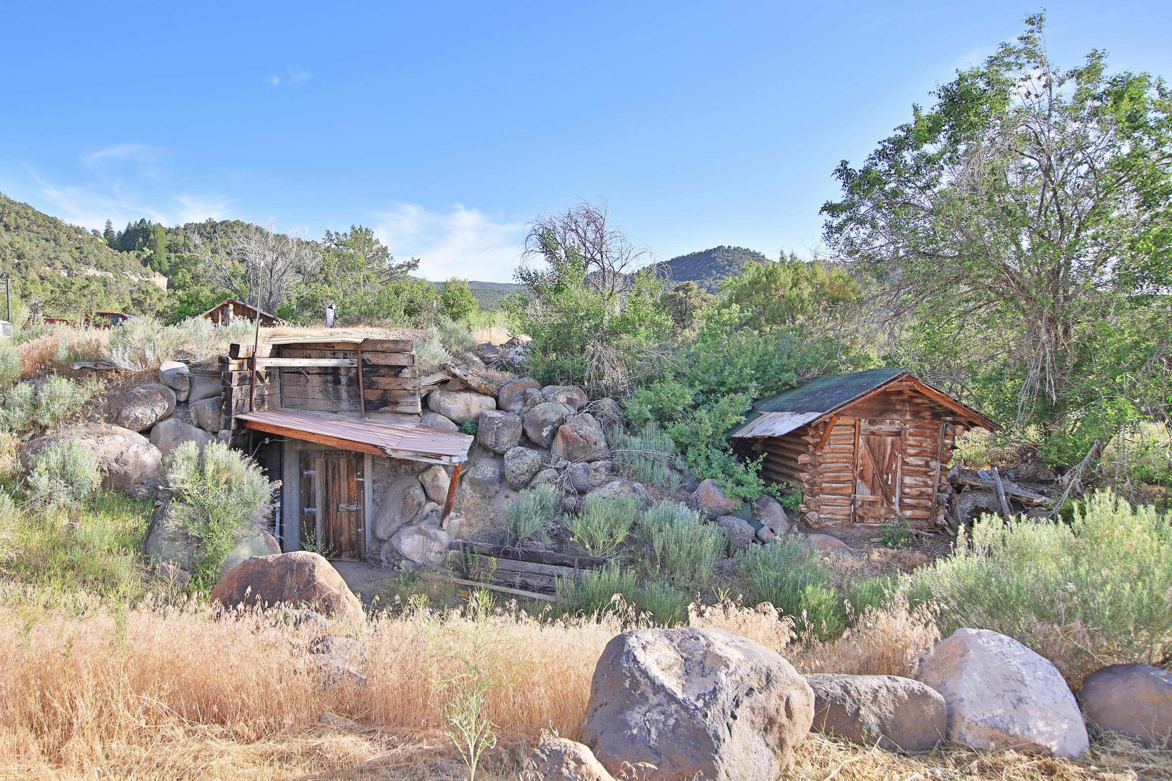 10519 52 1/2 Road Property Photo 26