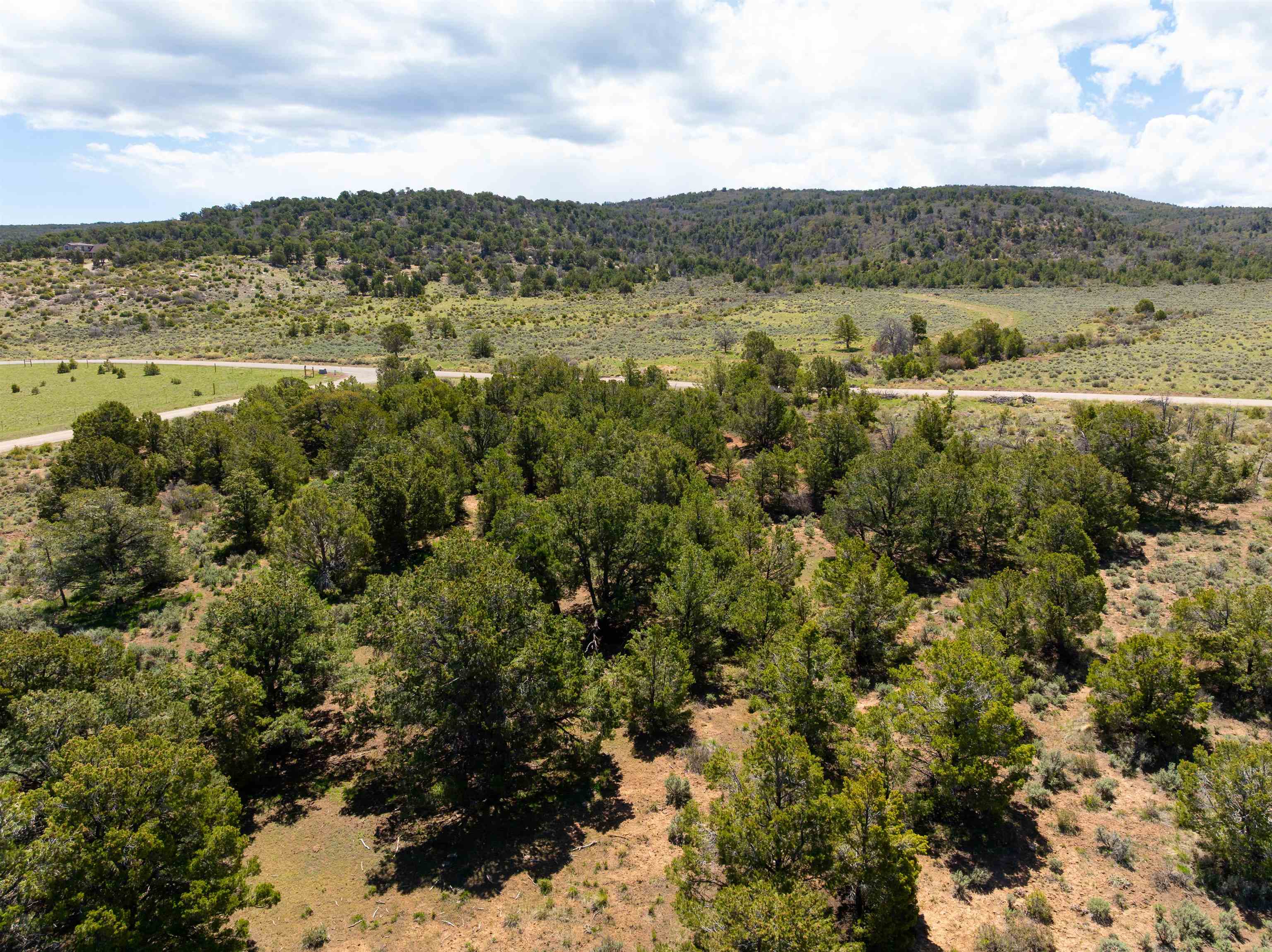 15770 Masters Ranch Drive Property Photo 15