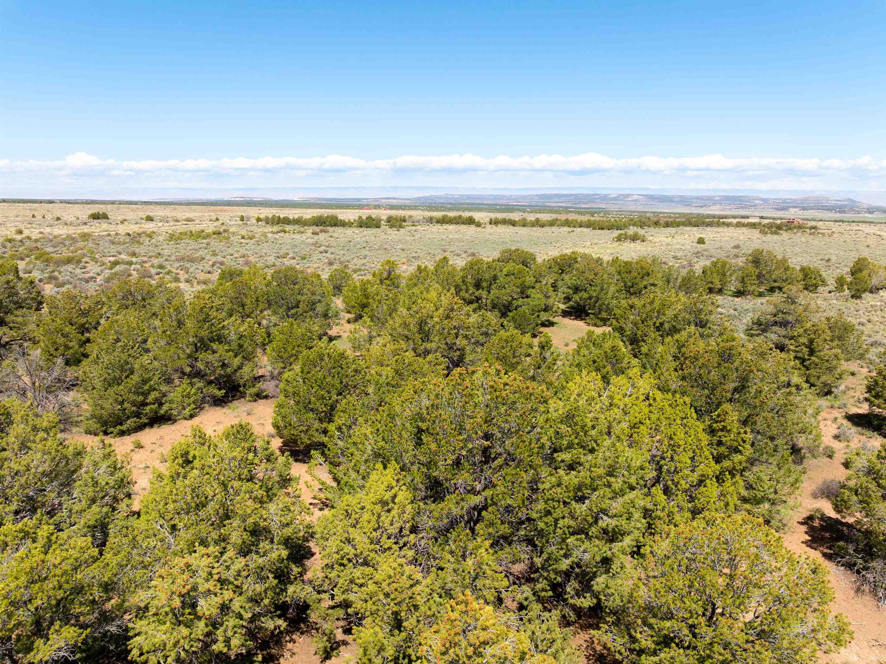 15770 Masters Ranch Drive Property Photo 18