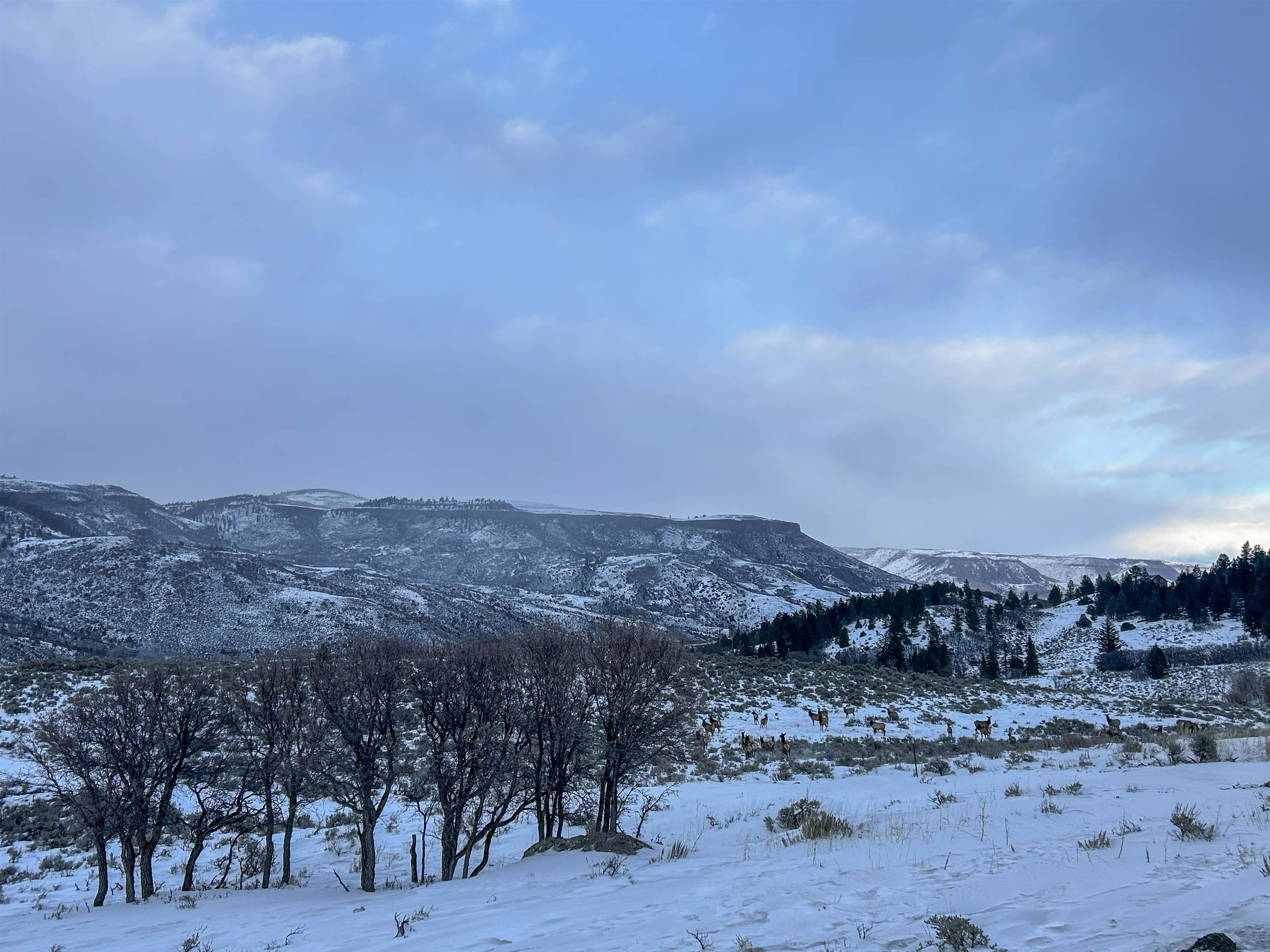 TBD Highway 50